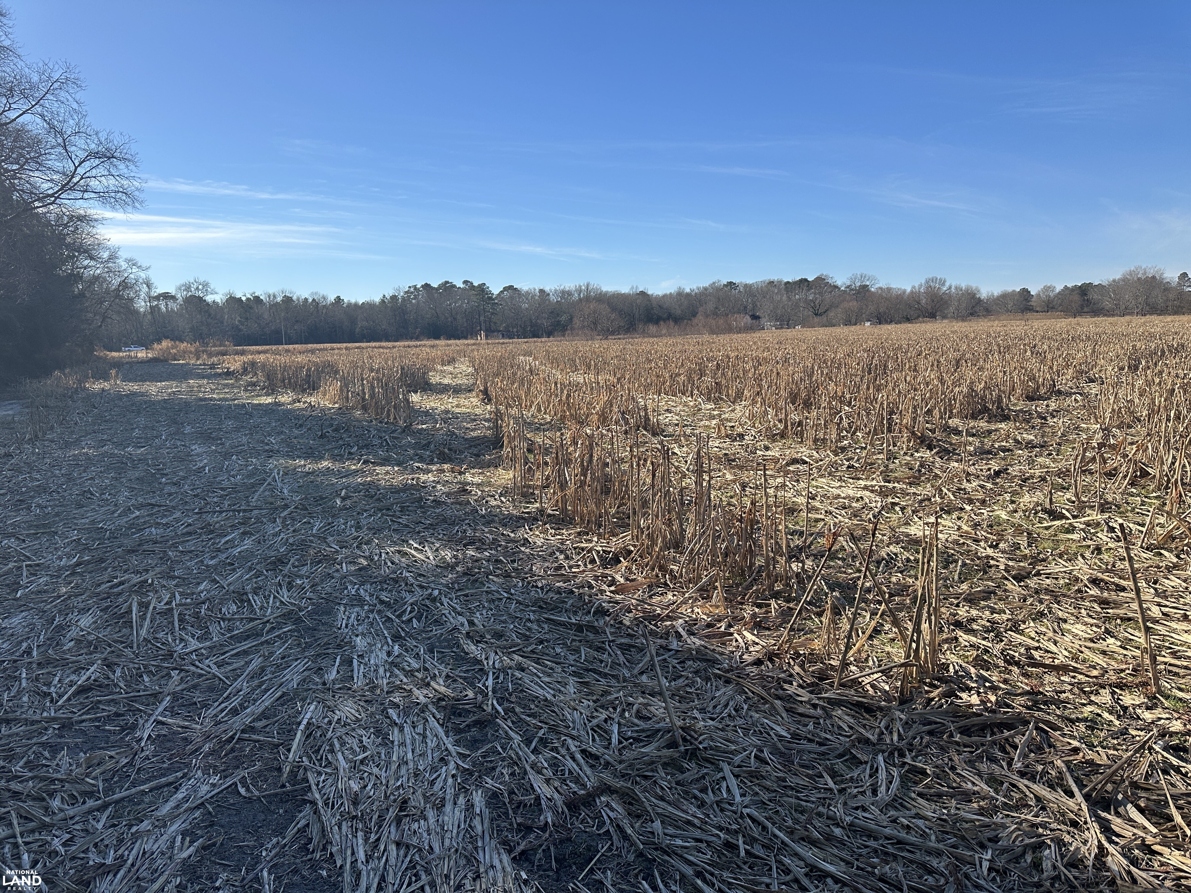 Bivalve Lodge Farmette in Wicomico County, Maryland (44 Photos ...