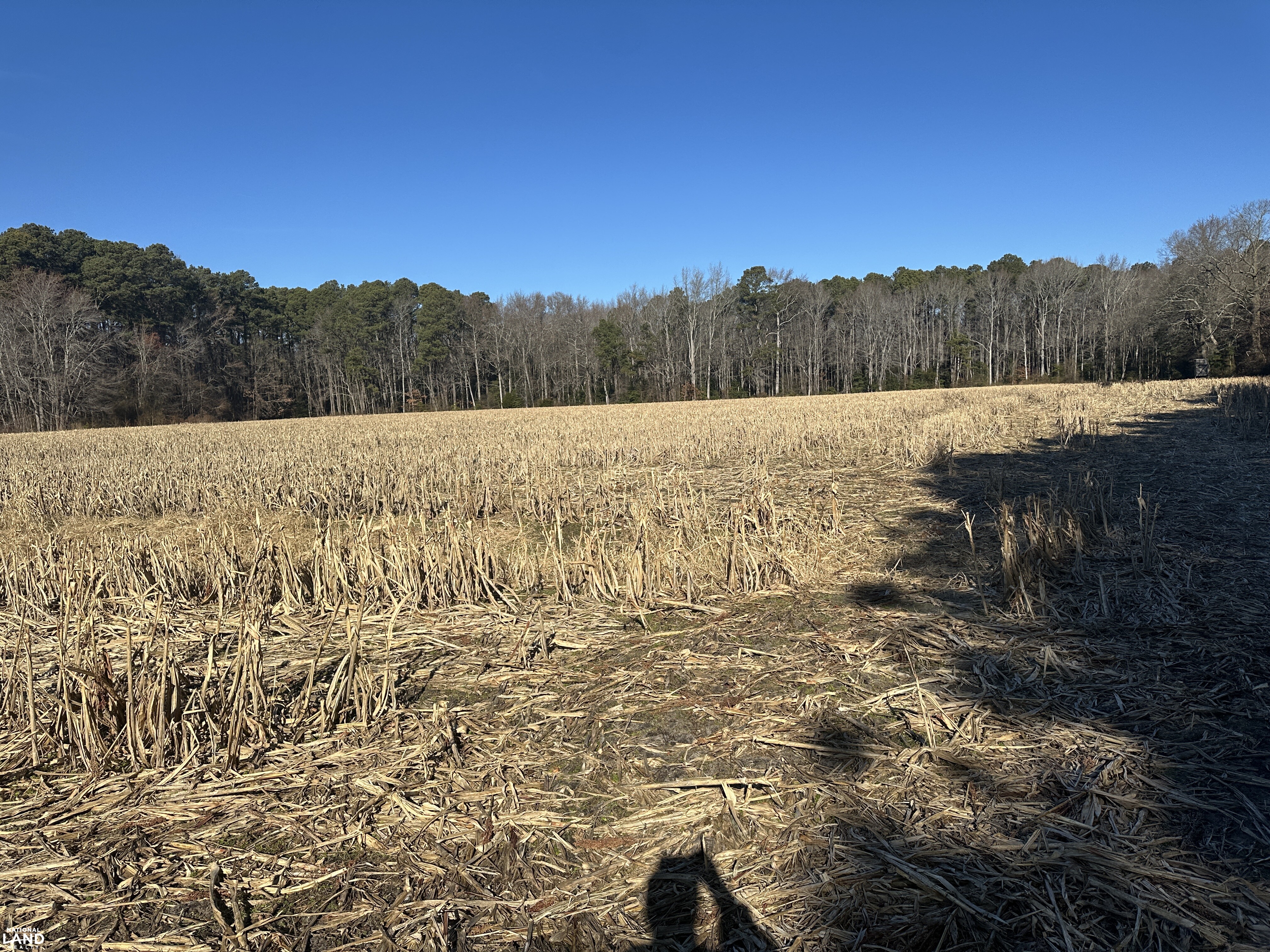 Bivalve Lodge Farmette in Wicomico County, Maryland (44 Photos ...