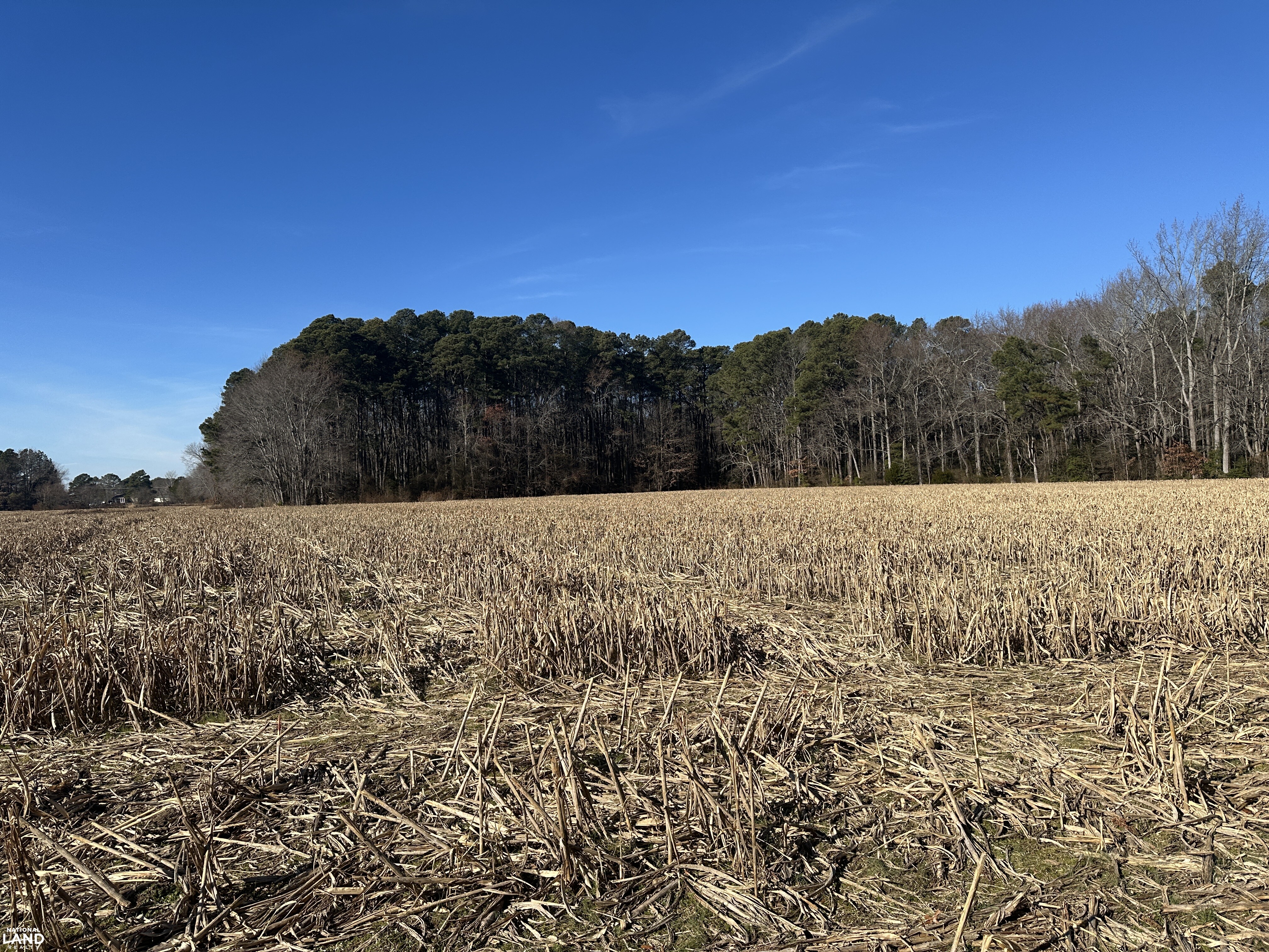 Bivalve Lodge Farmette in Wicomico County, Maryland (44 Photos ...