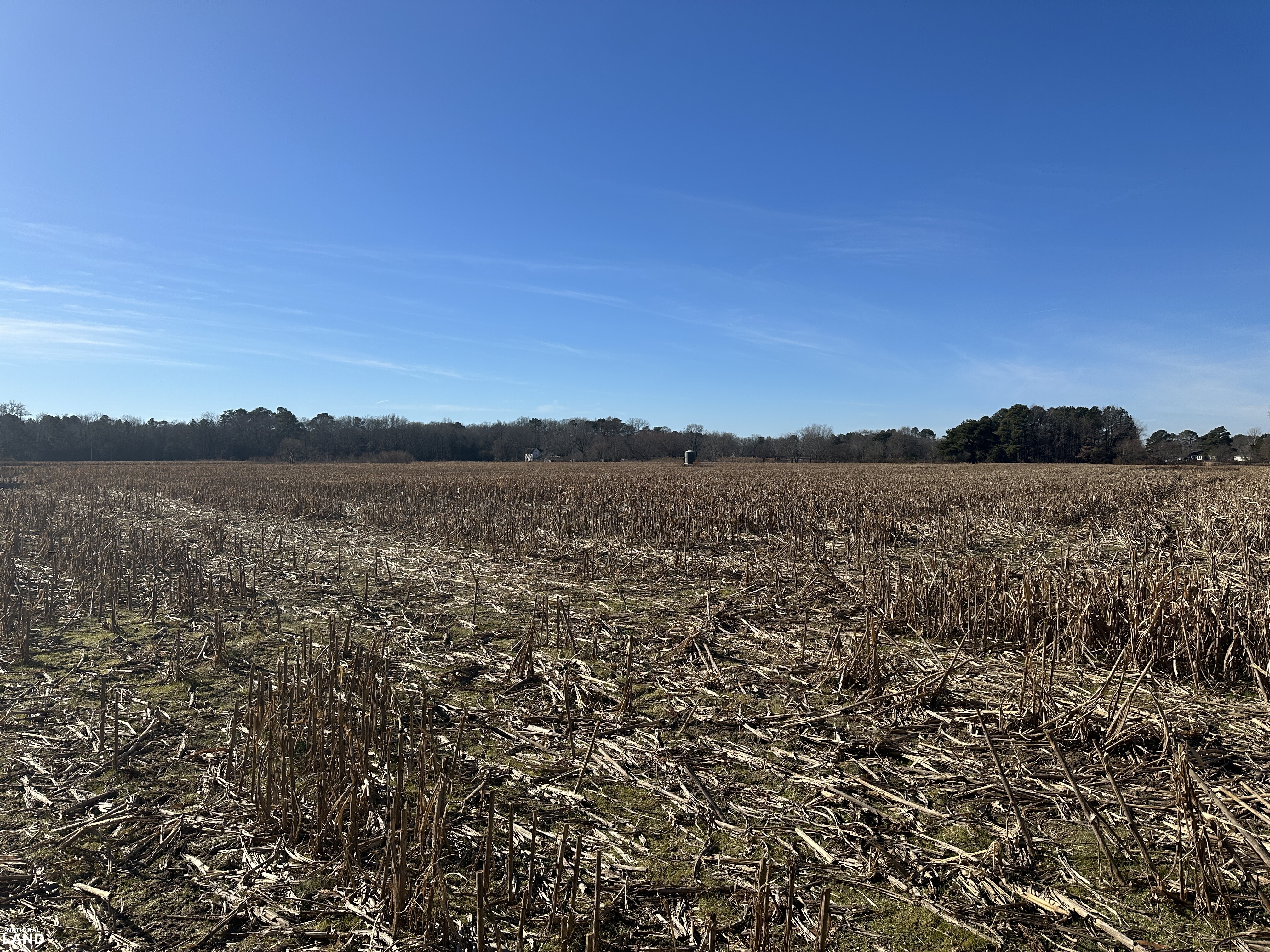 Bivalve Lodge Farmette in Wicomico County, Maryland (44 Photos ...