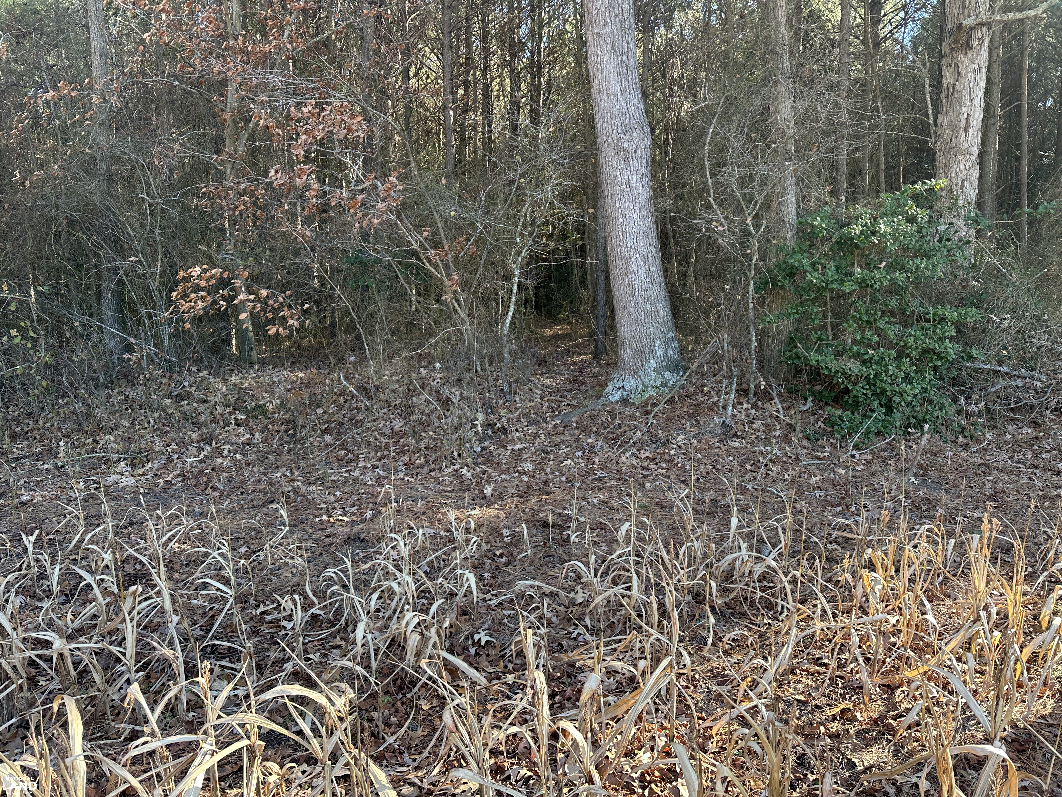 Bivalve Lodge Farmette in Wicomico County, Maryland (44 Photos ...