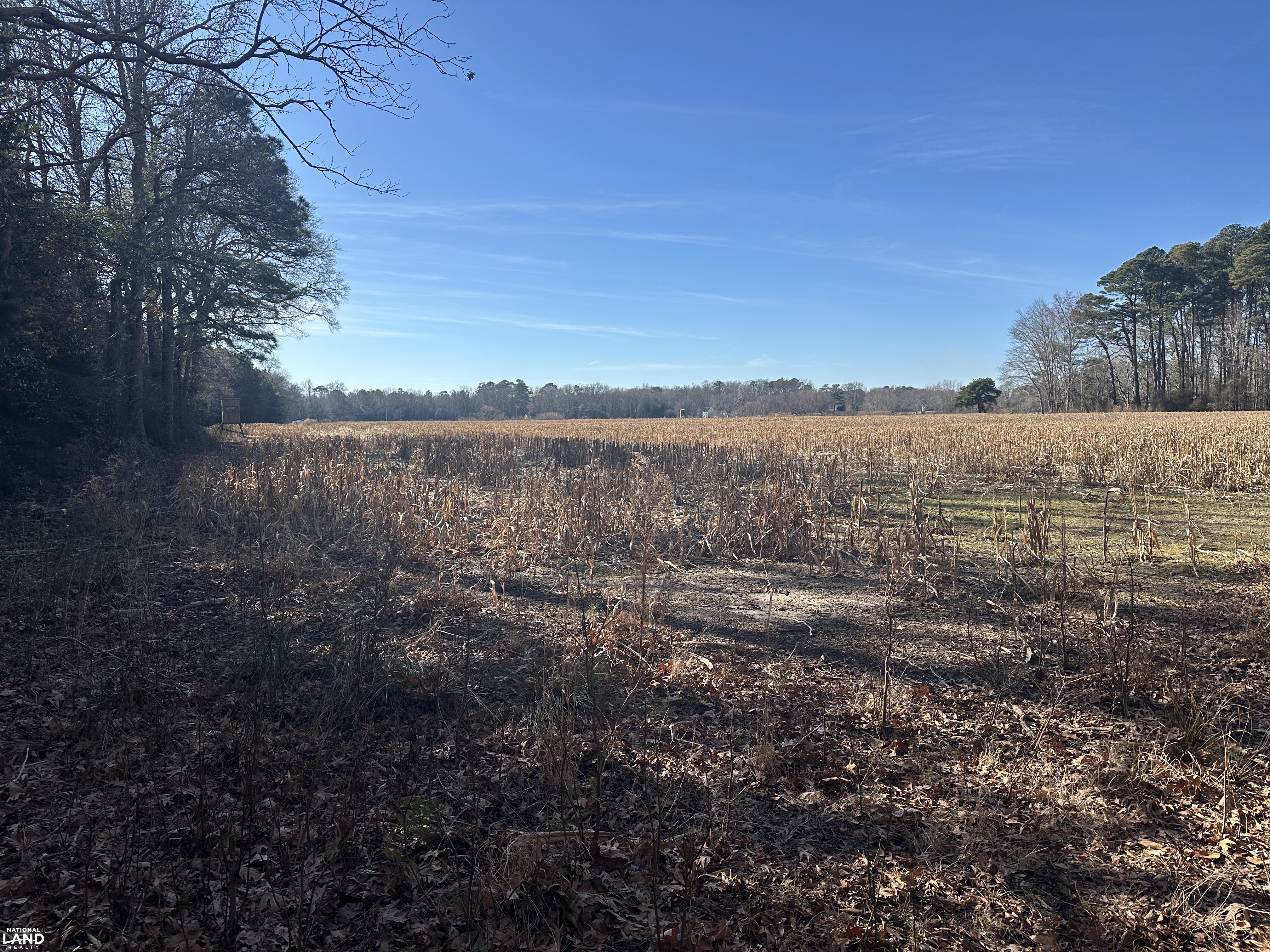 Bivalve Lodge Farmette in Wicomico County, Maryland (44 Photos ...