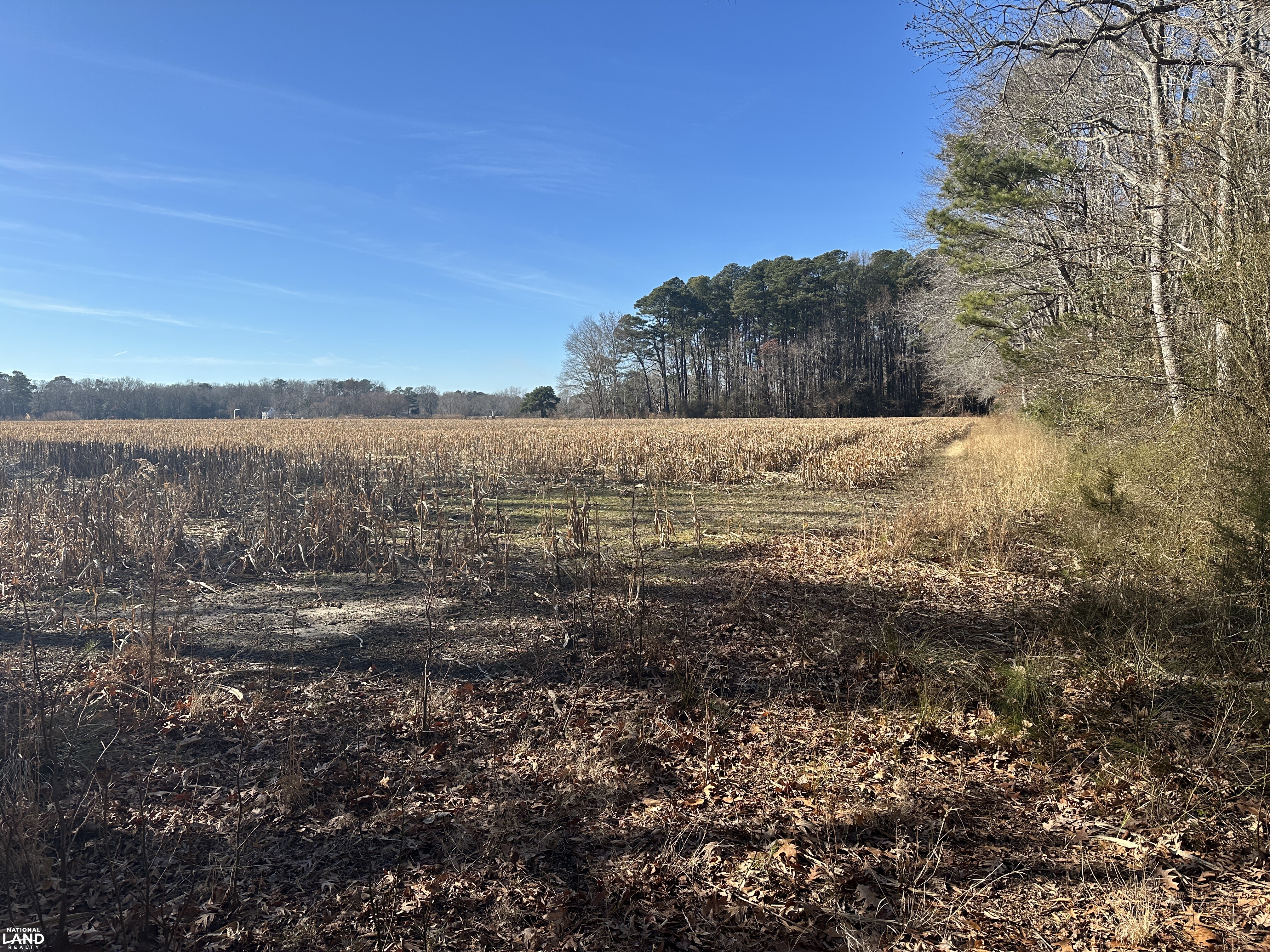 Bivalve Lodge Farmette in Wicomico County, Maryland (44 Photos ...