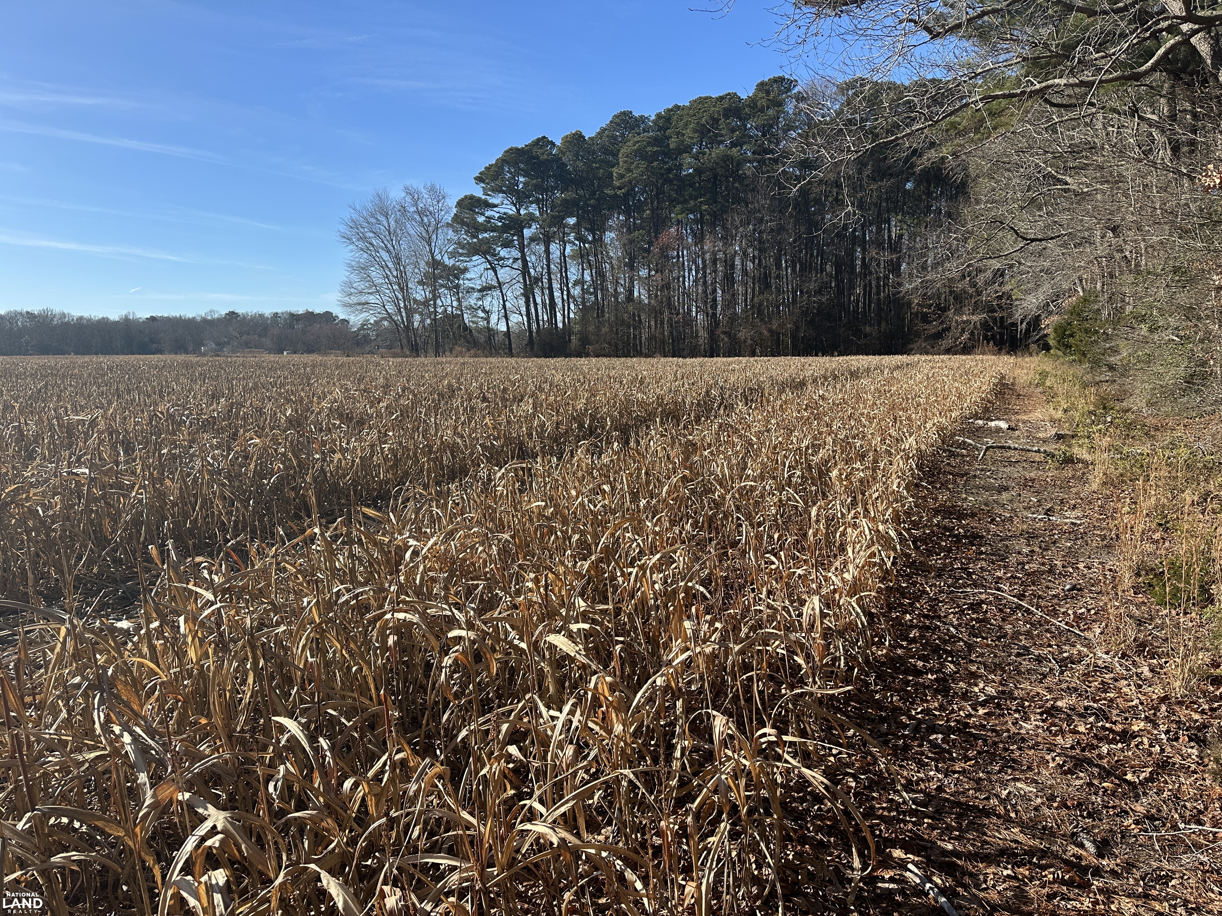 Bivalve Lodge Farmette in Wicomico County, Maryland (44 Photos ...