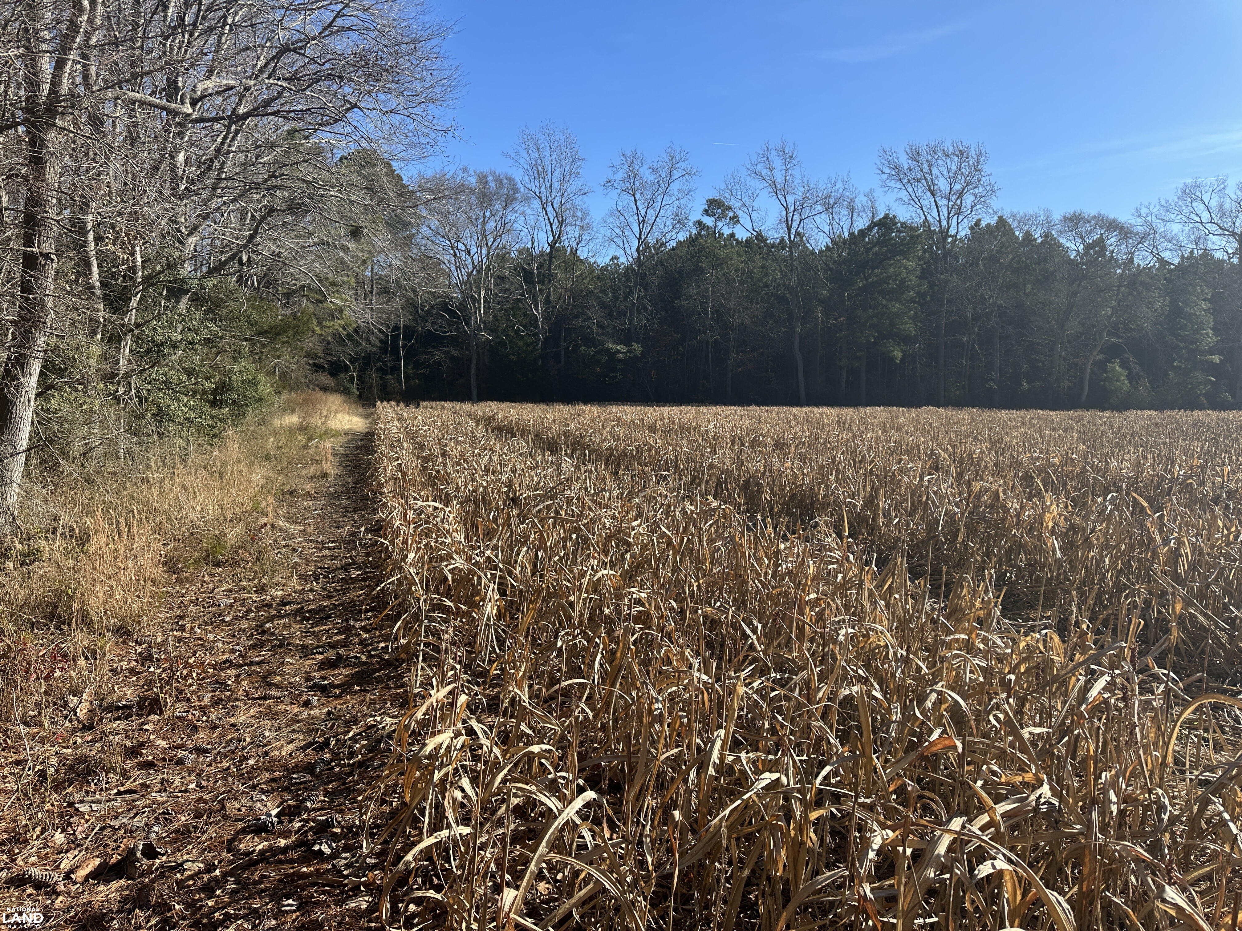 Bivalve Lodge Farmette in Wicomico County, Maryland (44 Photos ...