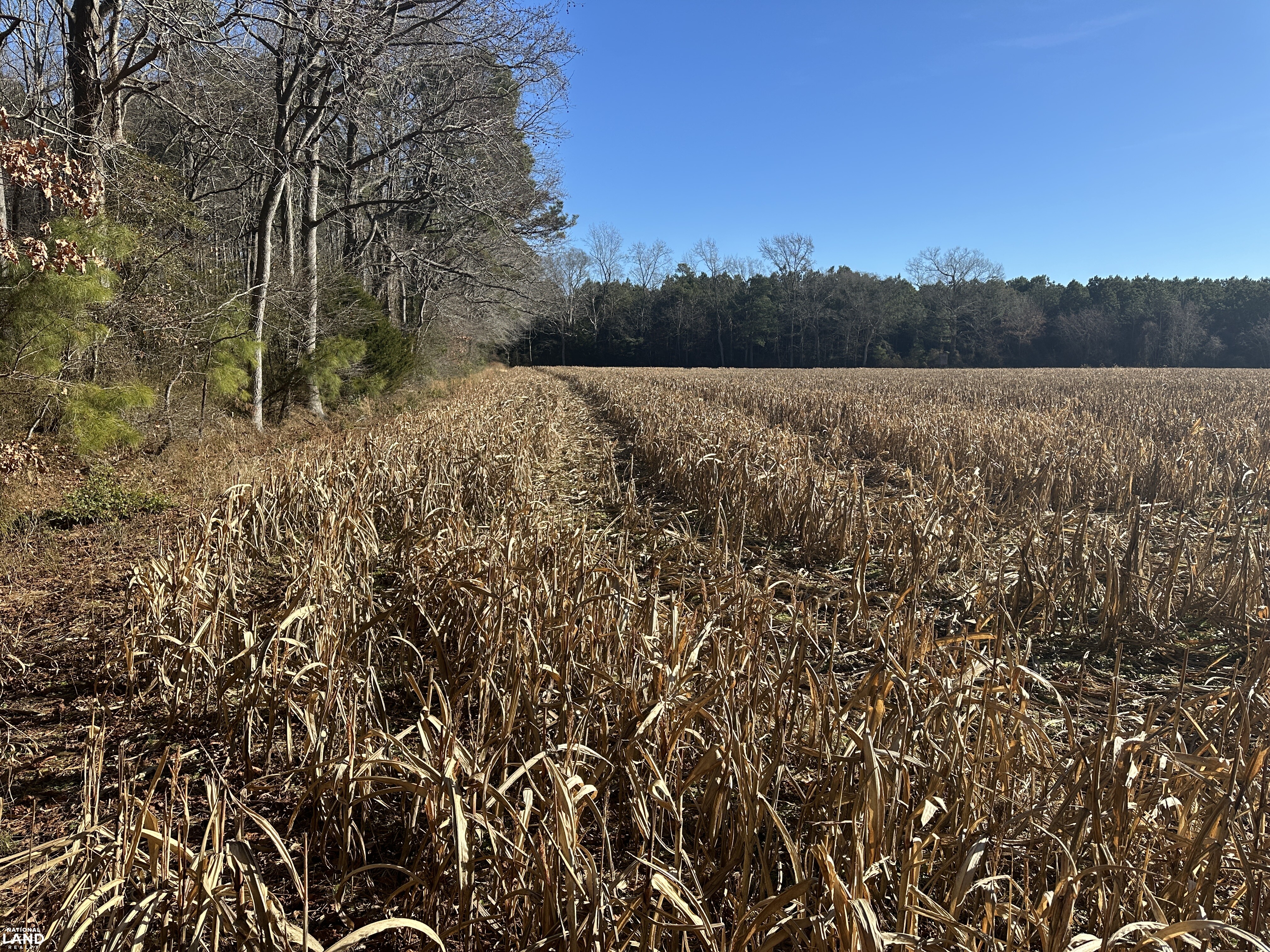 Bivalve Lodge Farmette in Wicomico County, Maryland (44 Photos ...