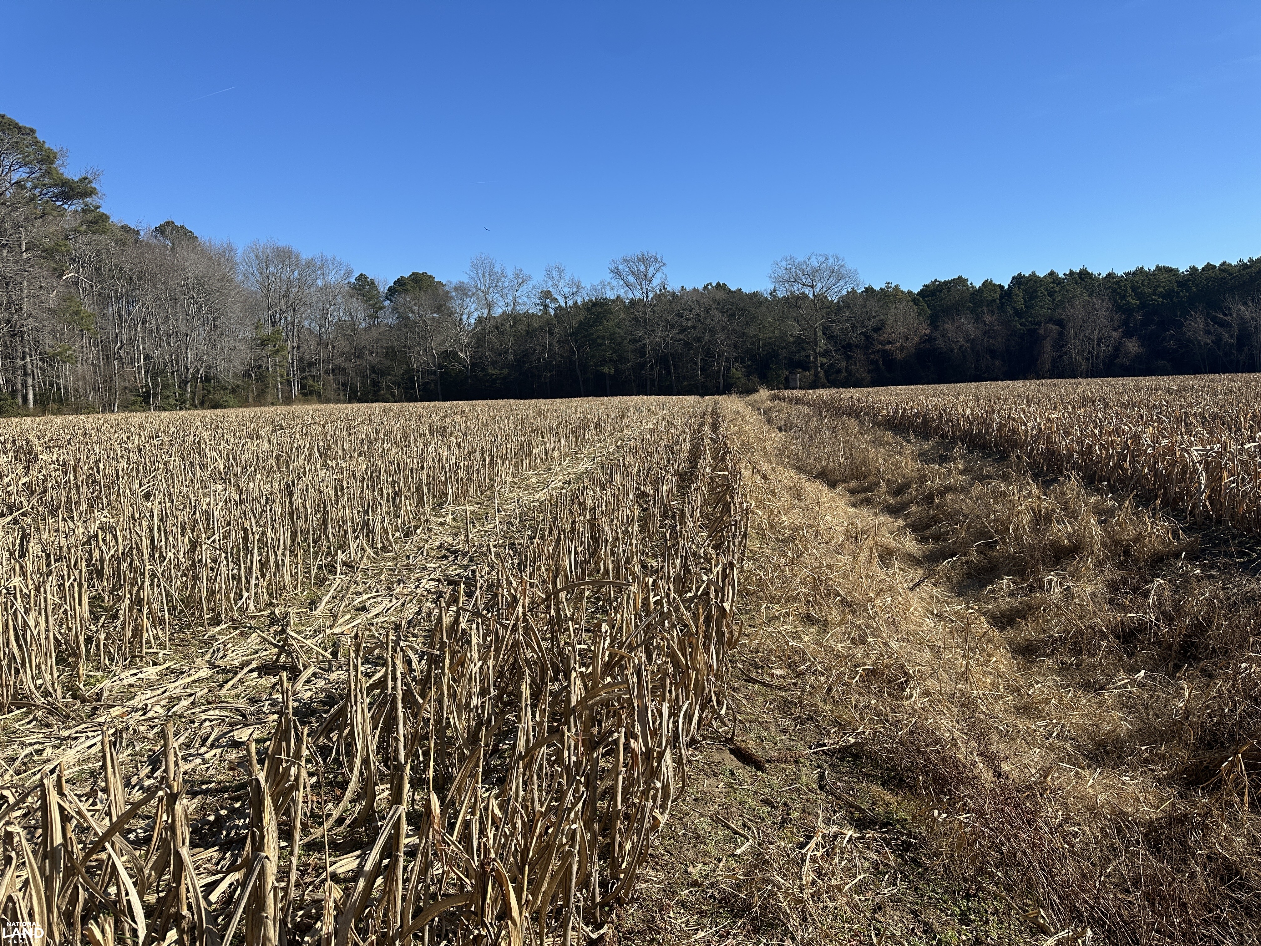 Bivalve Lodge Farmette in Wicomico County, Maryland (44 Photos ...