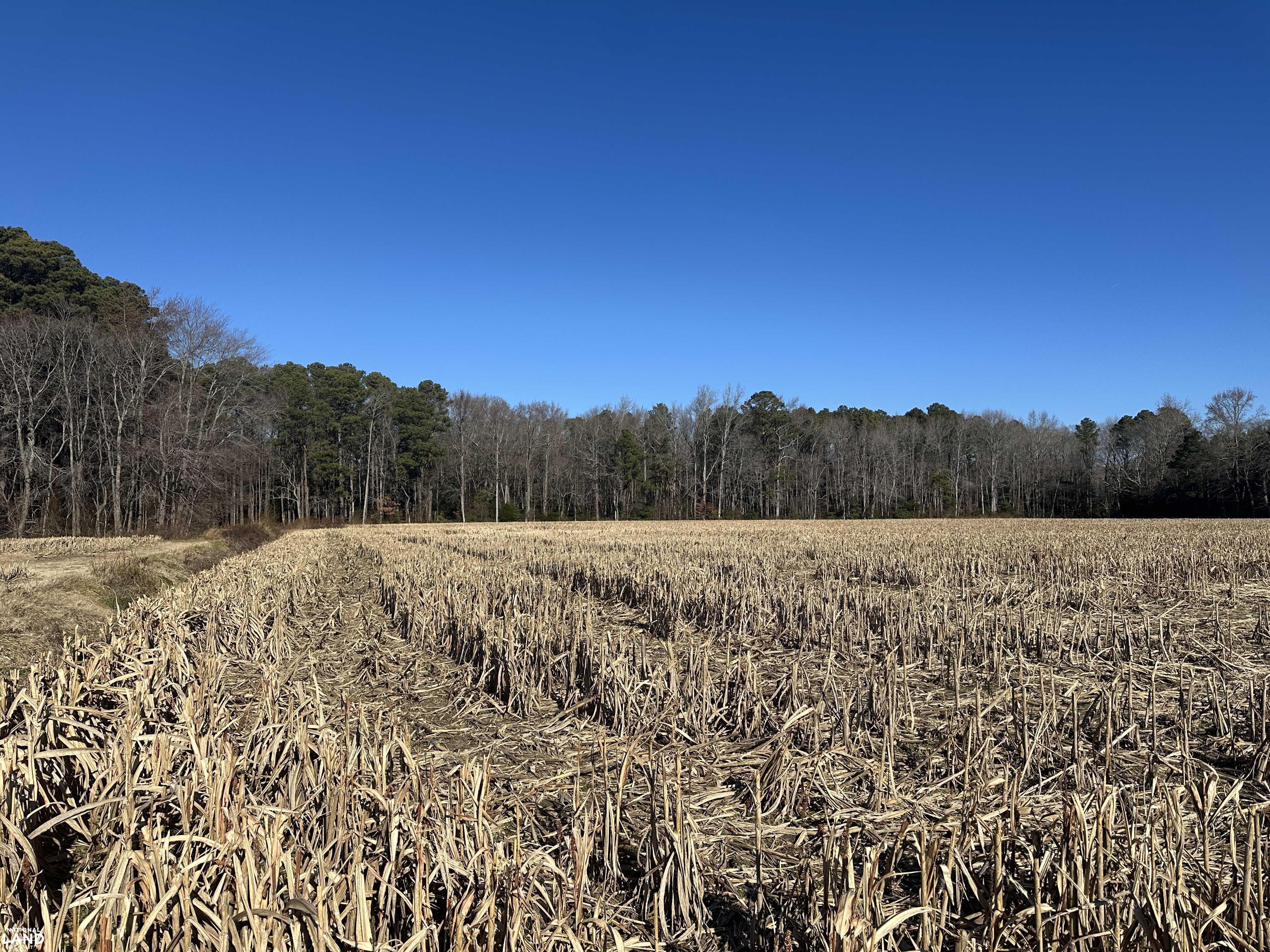 Bivalve Lodge Farmette in Wicomico County, Maryland (44 Photos ...
