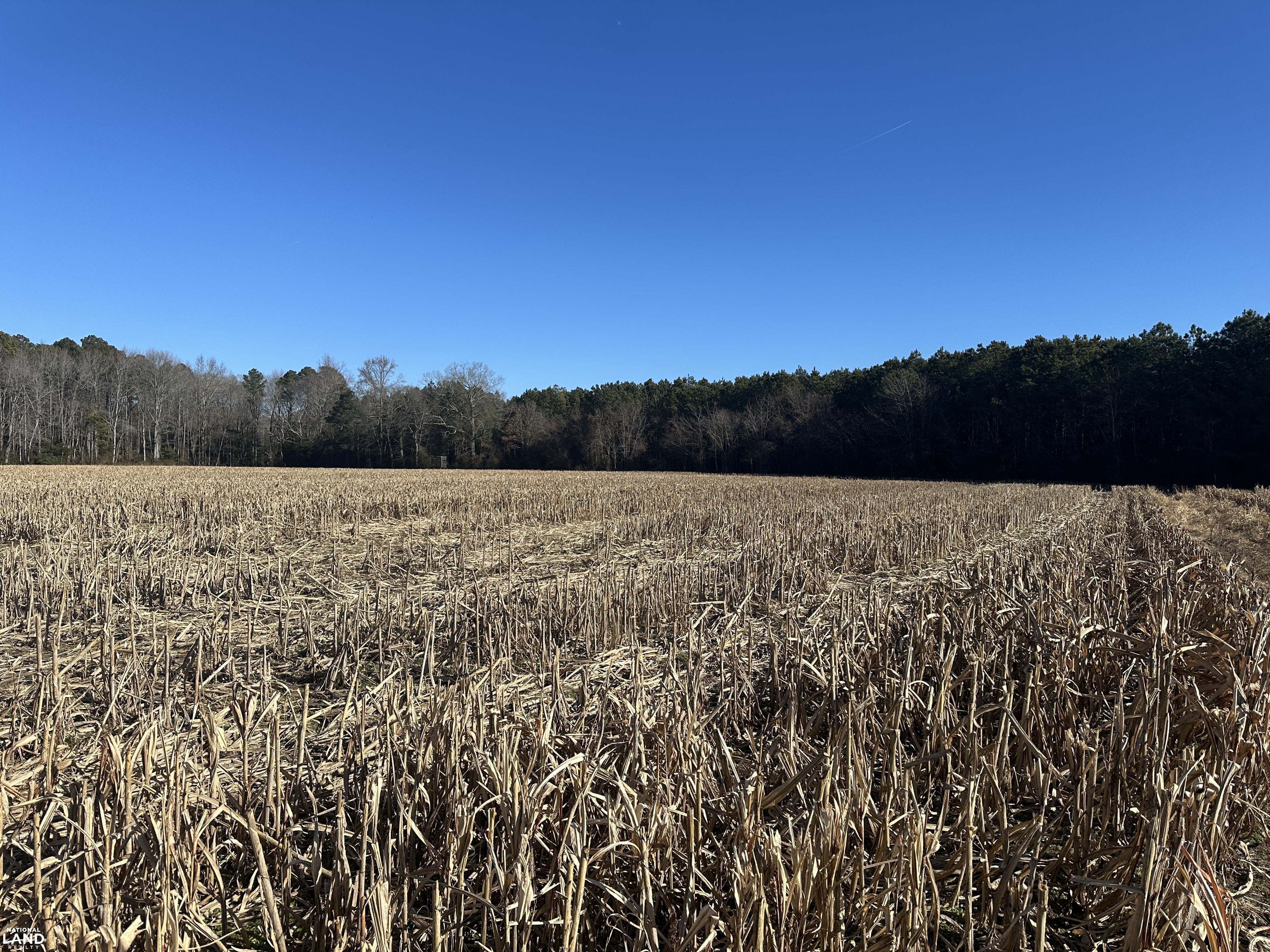 Bivalve Lodge Farmette in Wicomico County, Maryland (44 Photos ...