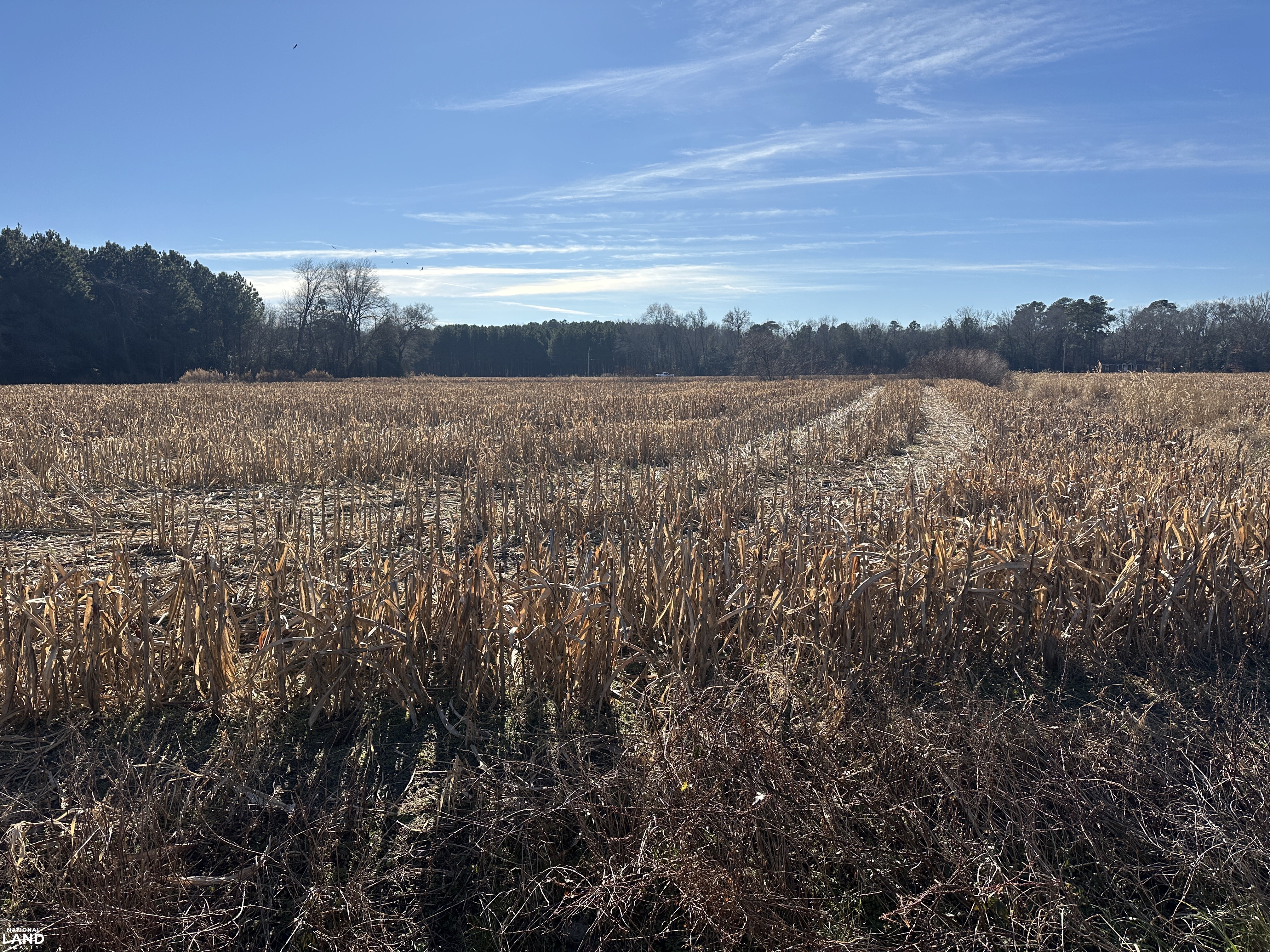 Bivalve Lodge Farmette in Wicomico County, Maryland (44 Photos ...
