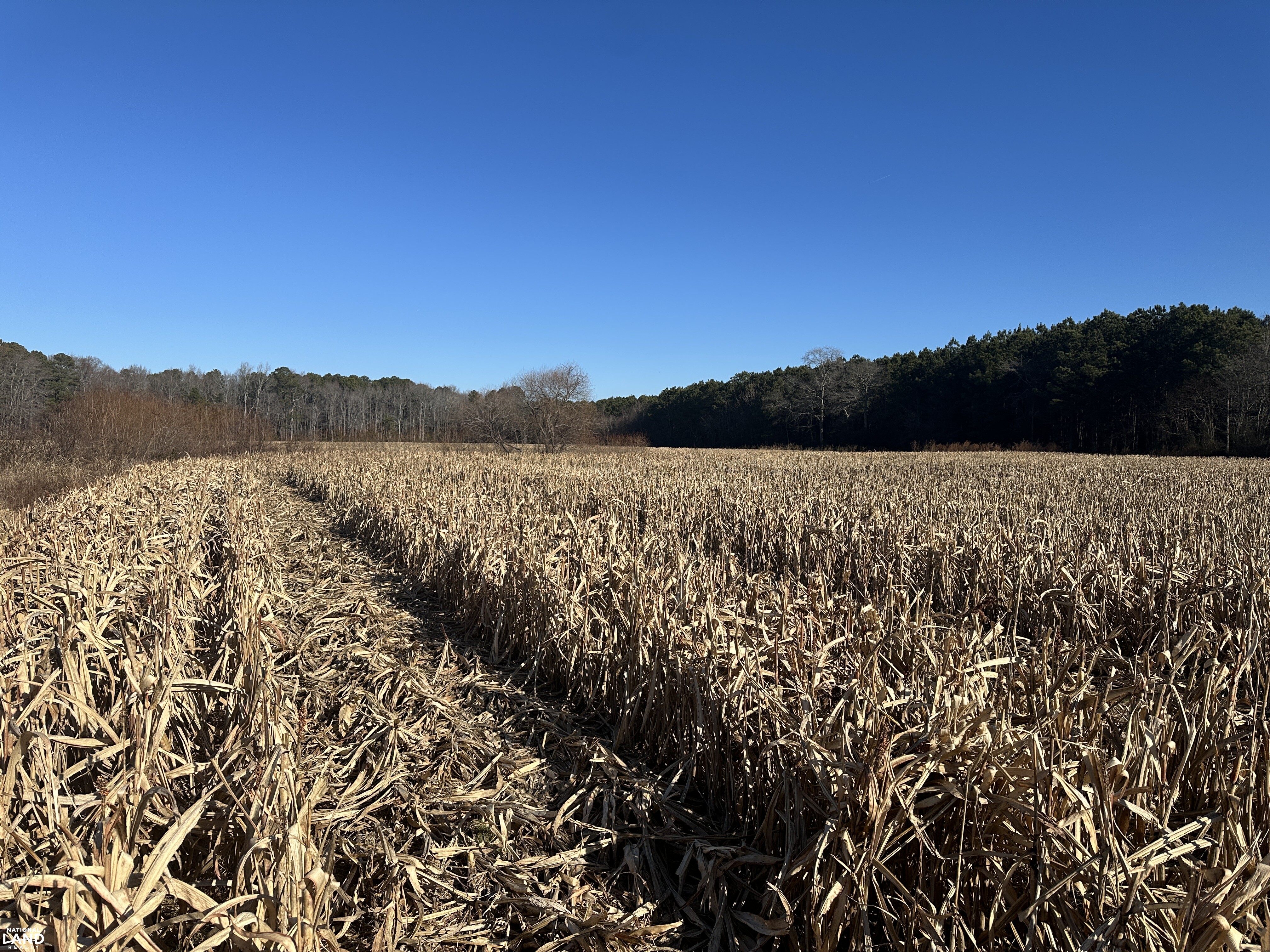 Bivalve Lodge Farmette in Wicomico County, Maryland (44 Photos ...
