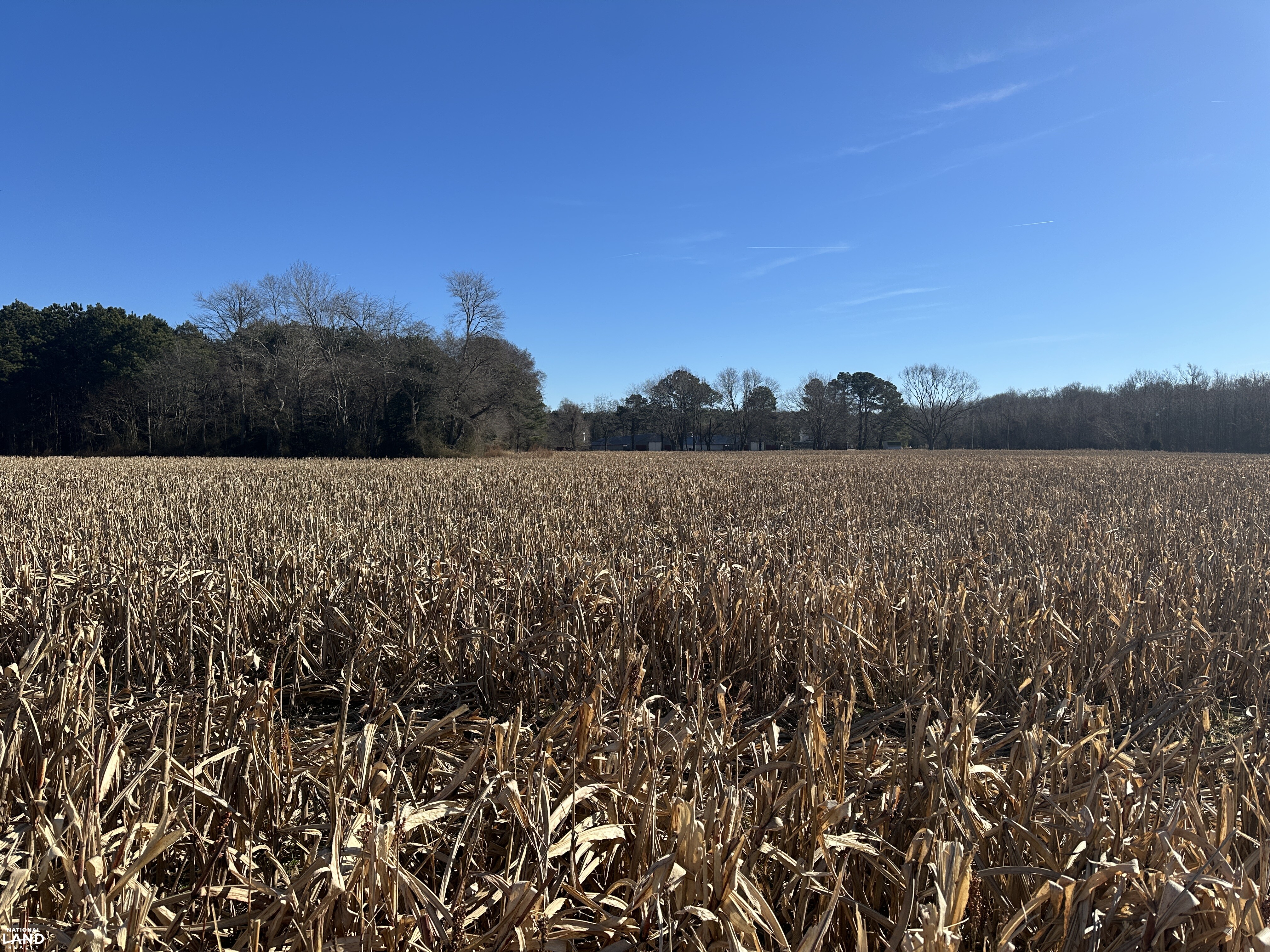 Bivalve Lodge Farmette in Wicomico County, Maryland (44 Photos ...