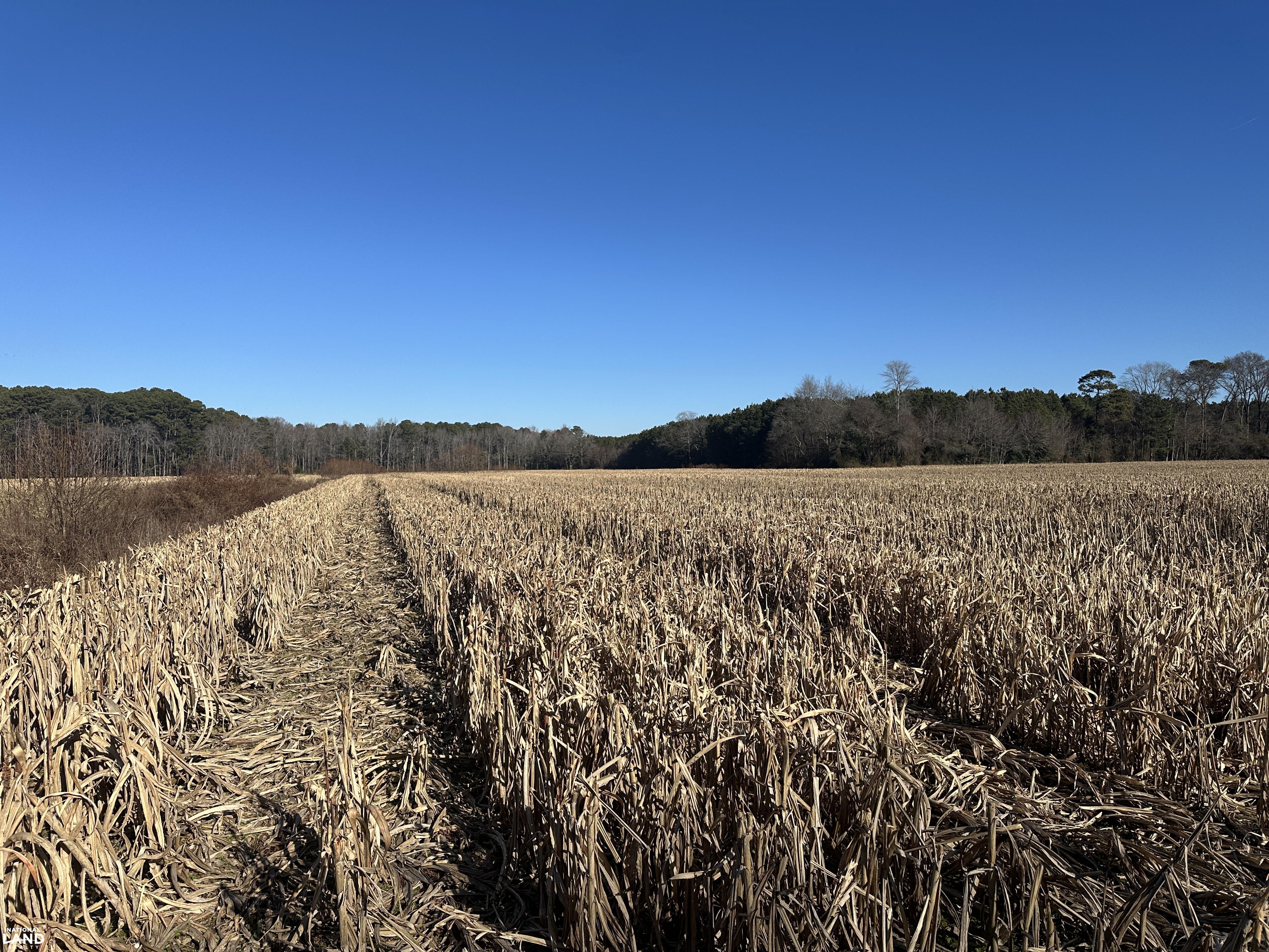 Bivalve Lodge Farmette in Wicomico County, Maryland (44 Photos ...