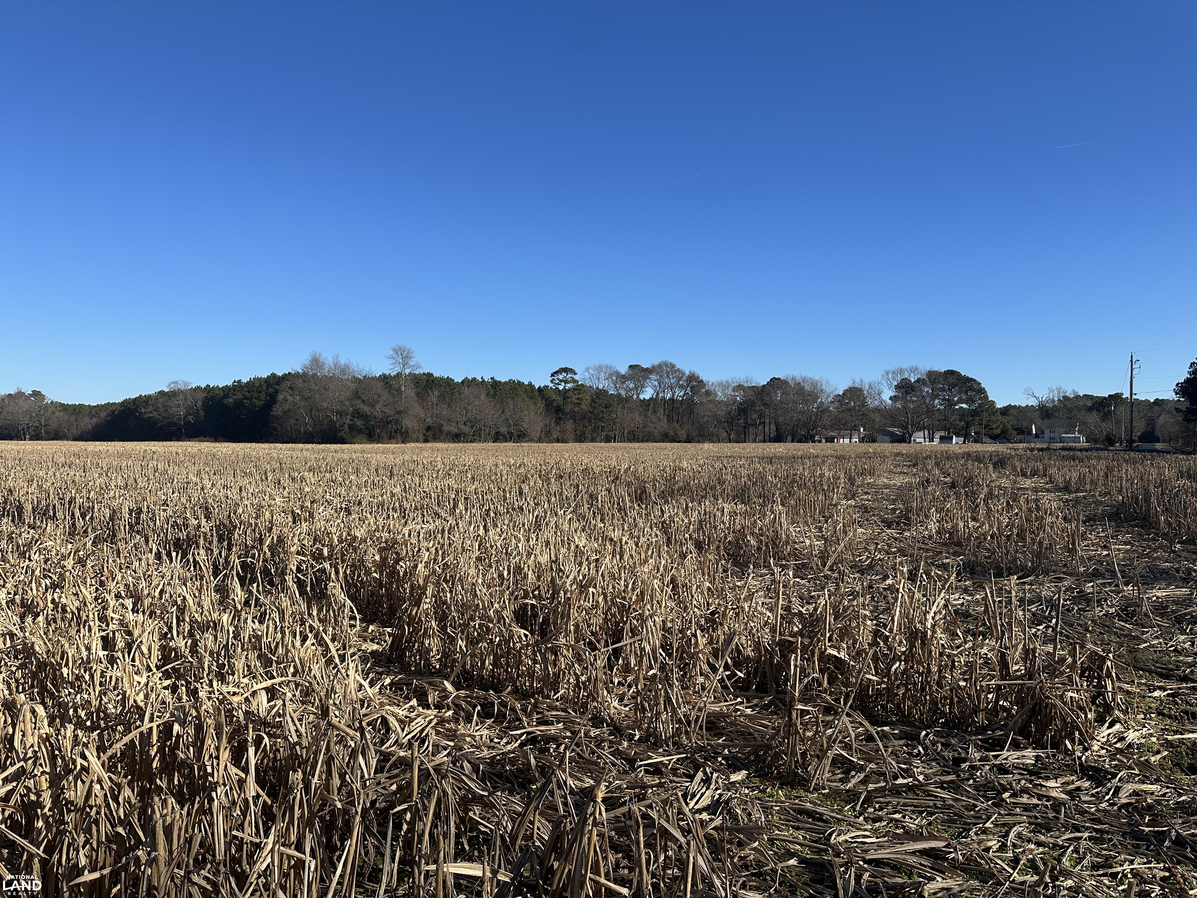 Bivalve Lodge Farmette in Wicomico County, Maryland (44 Photos ...