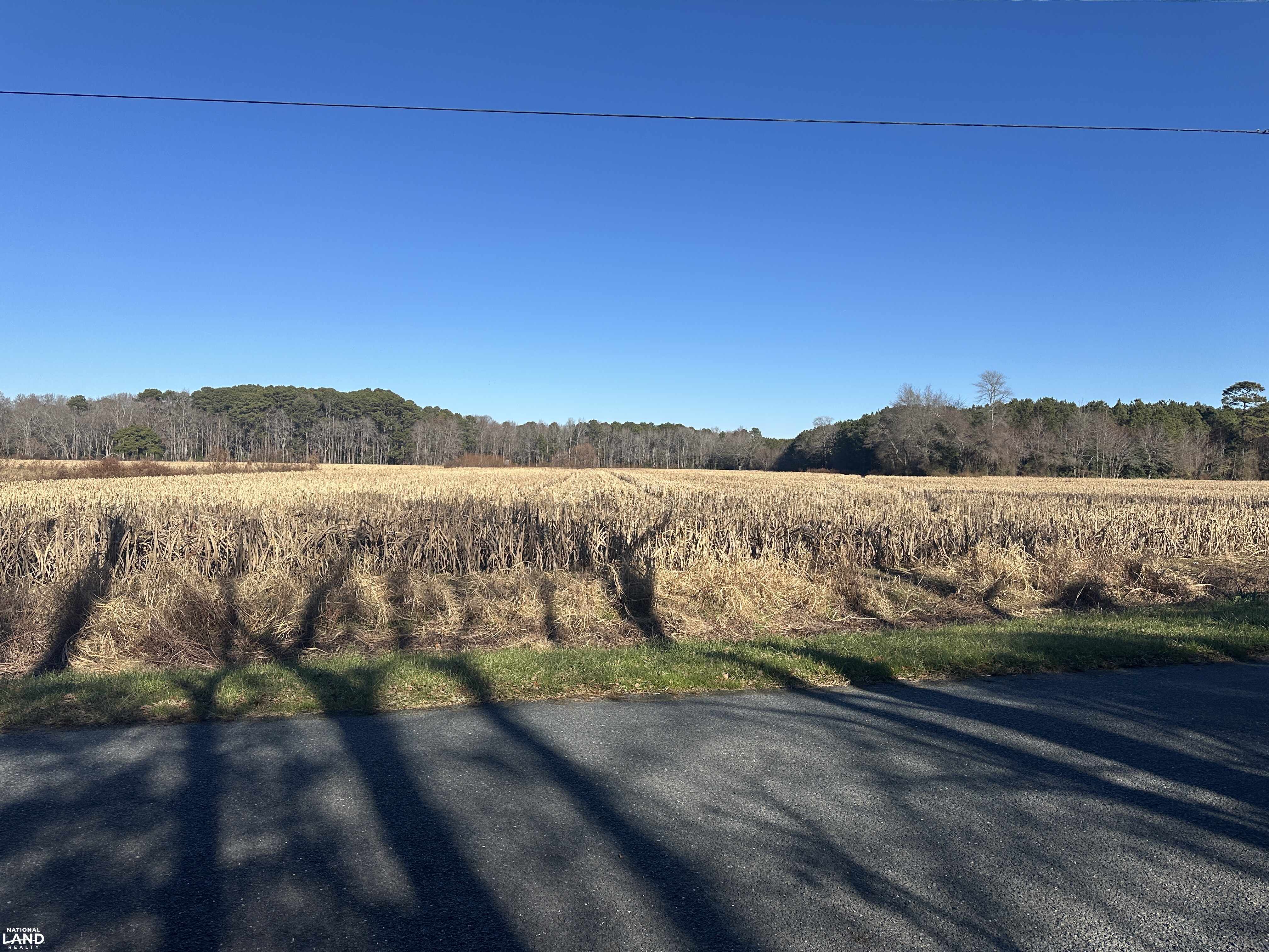 Bivalve Lodge Farmette in Wicomico County, Maryland (44 Photos ...