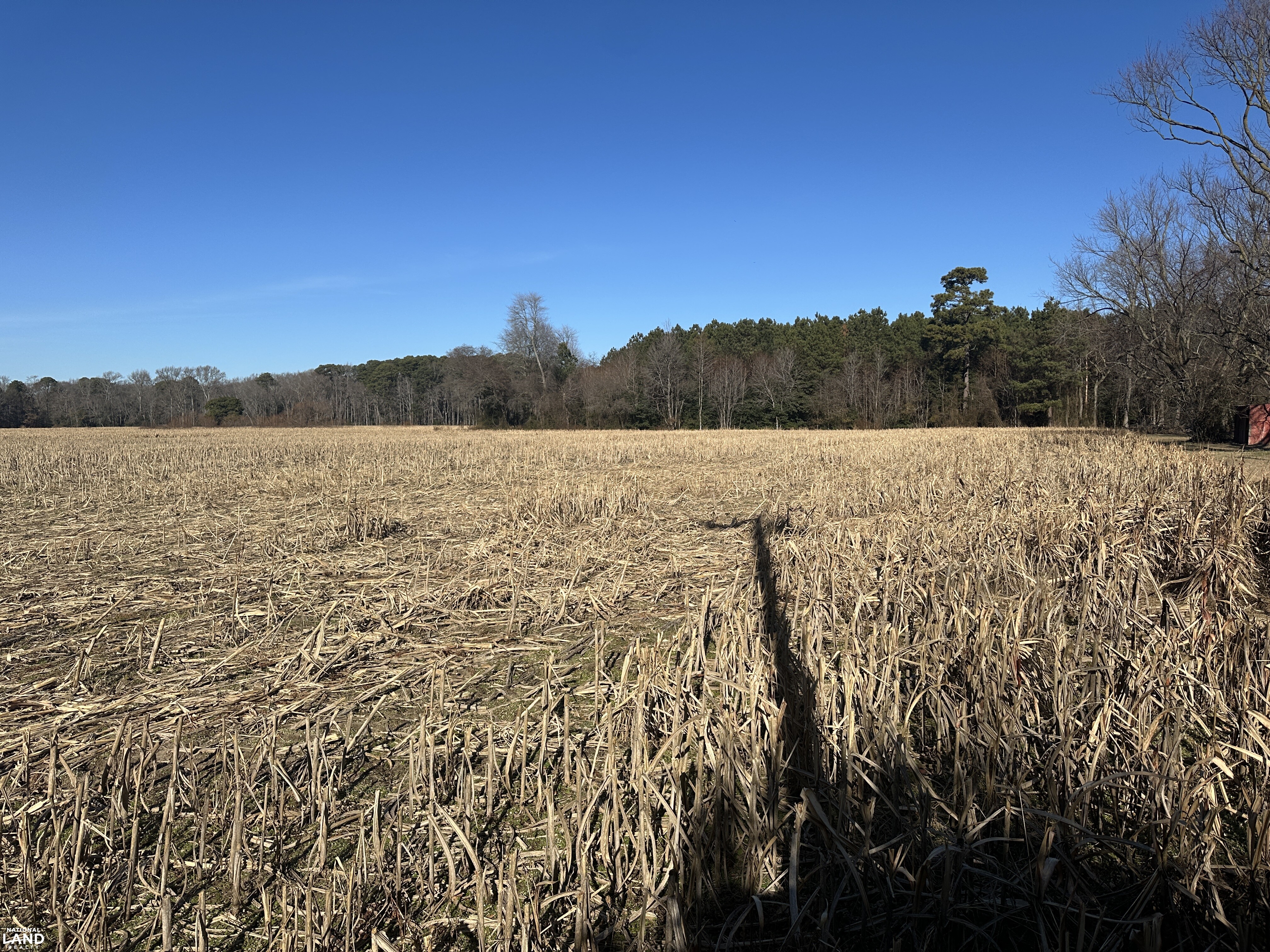 Bivalve Lodge Farmette in Wicomico County, Maryland (44 Photos ...
