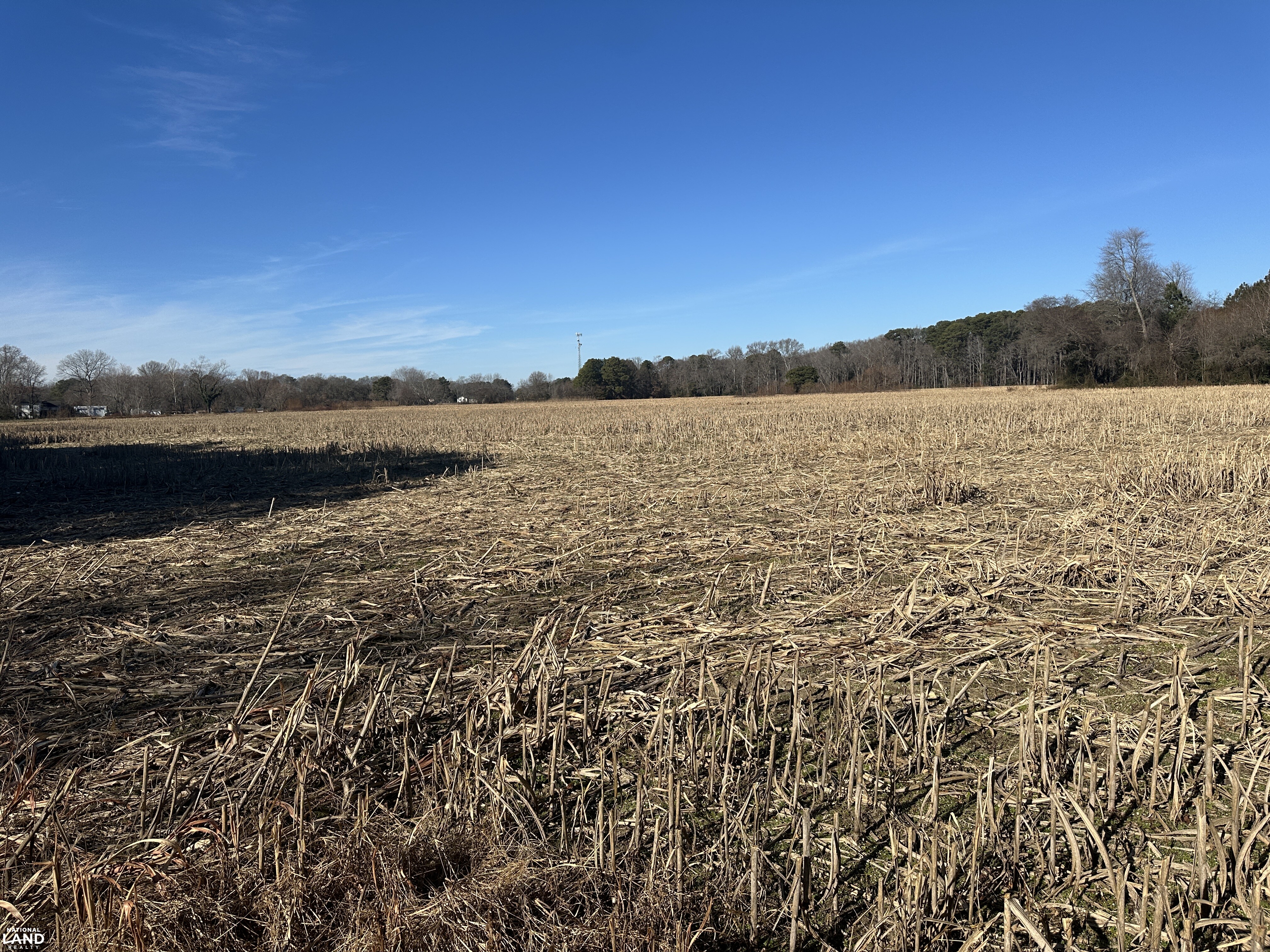 Bivalve Lodge Farmette in Wicomico County, Maryland (44 Photos ...