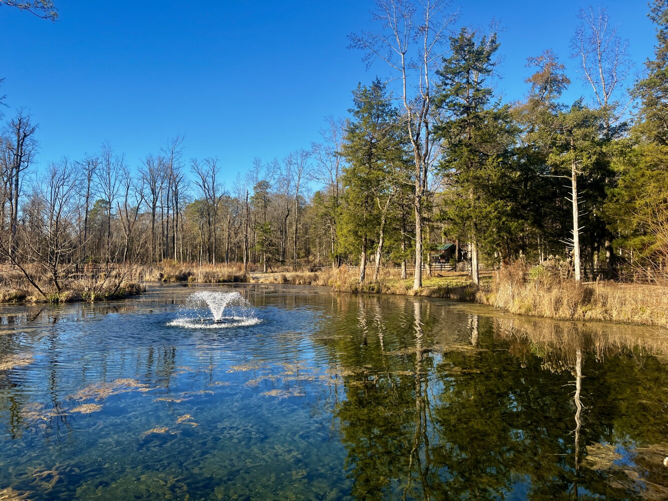 5343 A County Road 16, Montevallo, AL, 35115