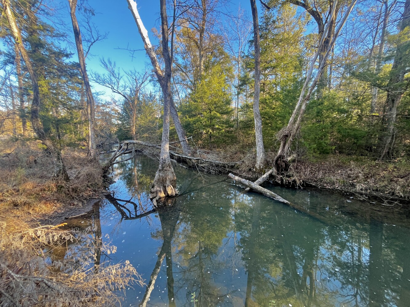 5343 A County Road 16, Montevallo, AL, 35115