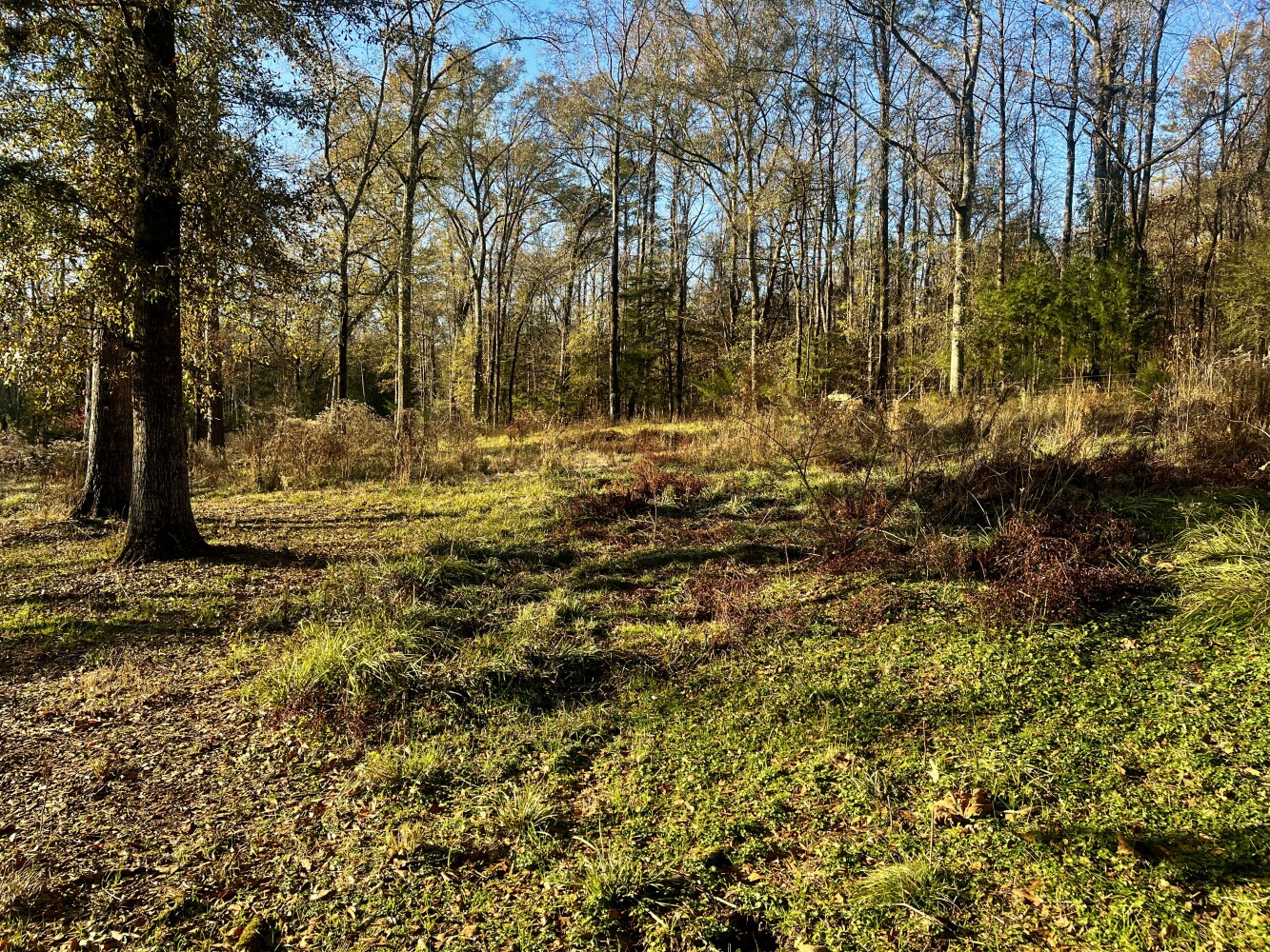 5343 A County Road 16, Montevallo, AL, 35115