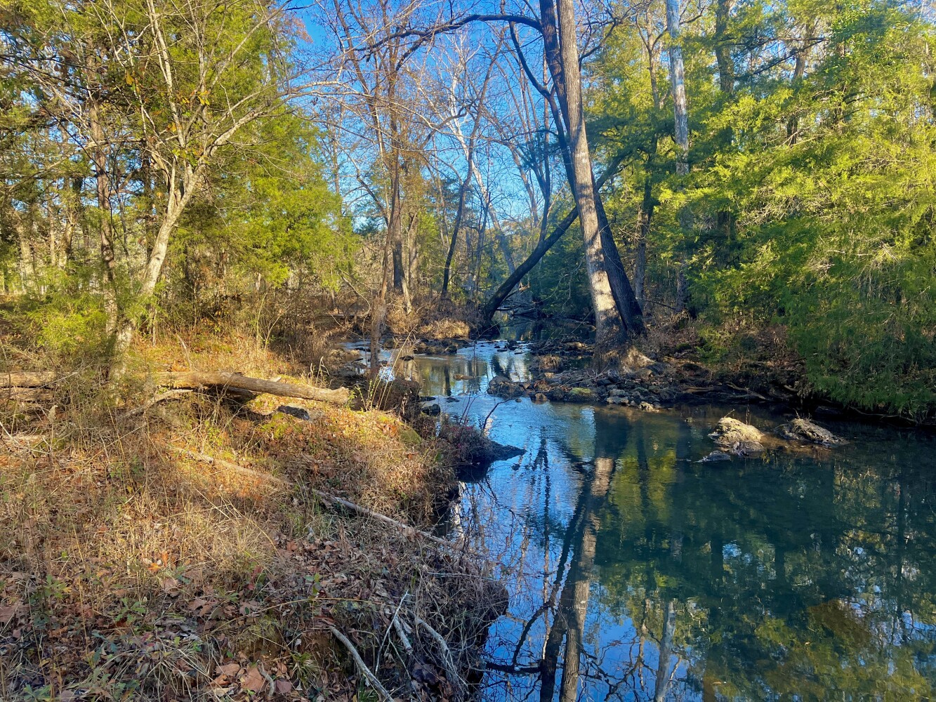 5343 A County Road 16, Montevallo, AL, 35115