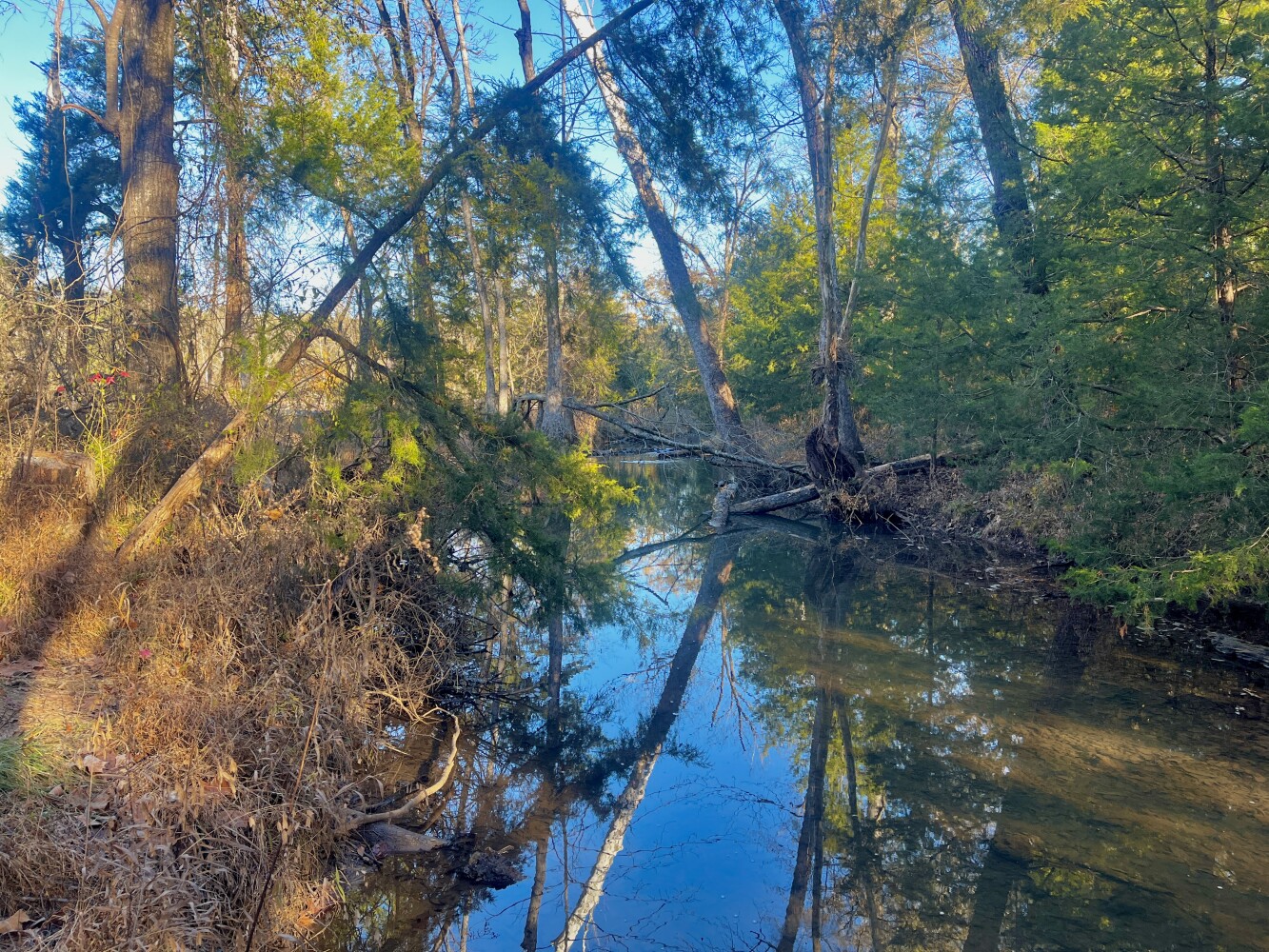 5343 A County Road 16, Montevallo, AL, 35115