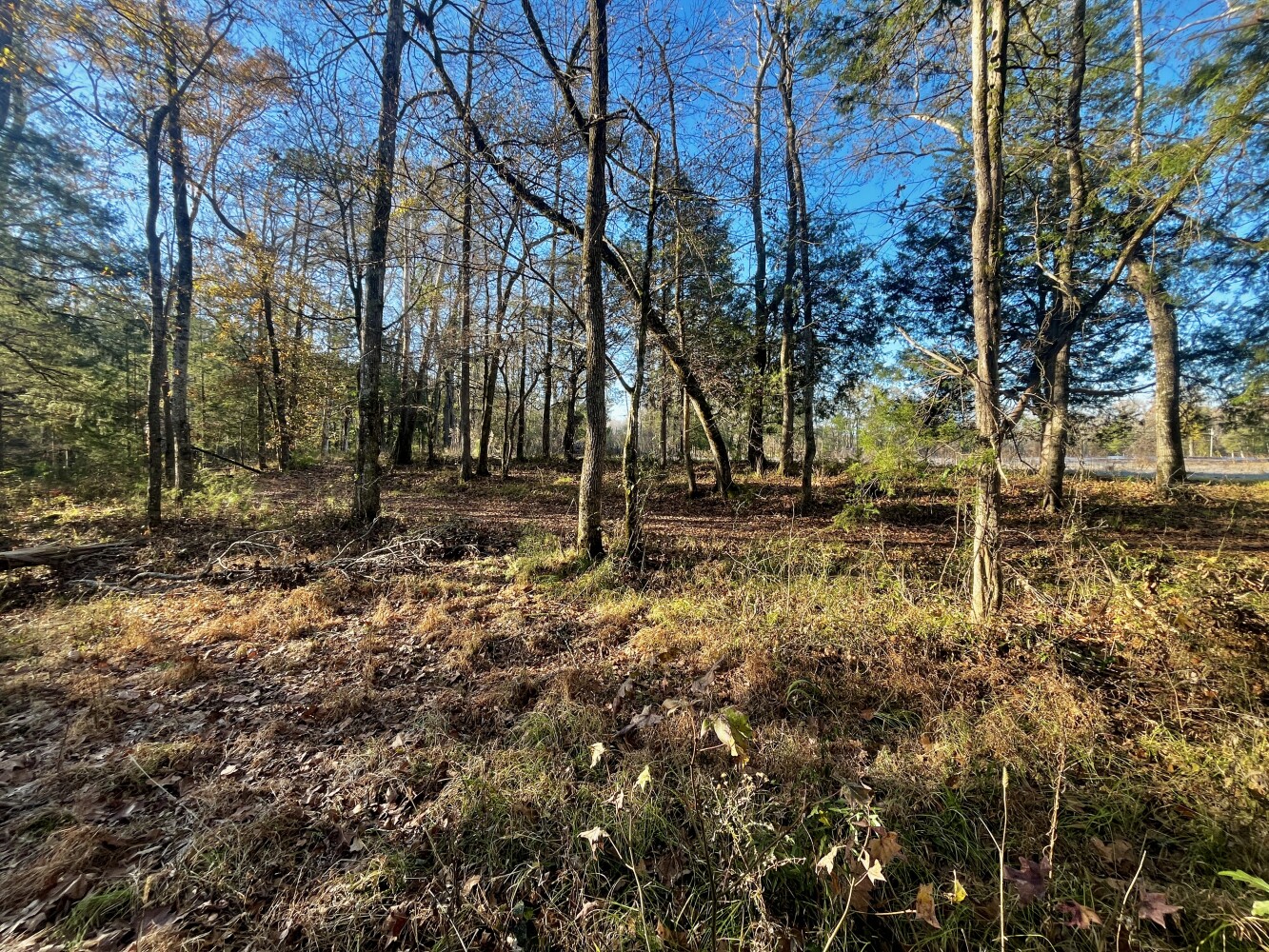 5343 A County Road 16, Montevallo, AL, 35115