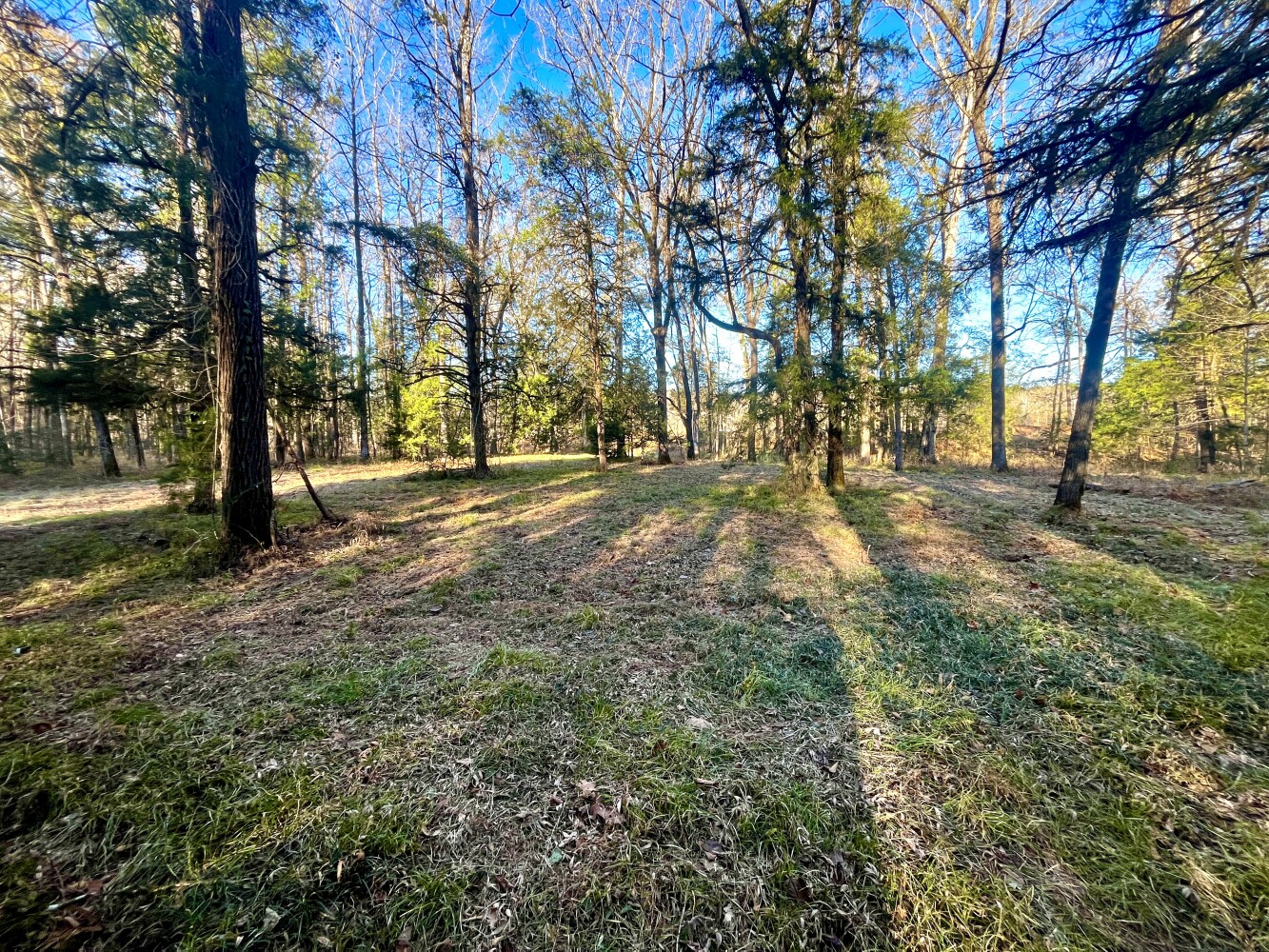 5343 A County Road 16, Montevallo, AL, 35115