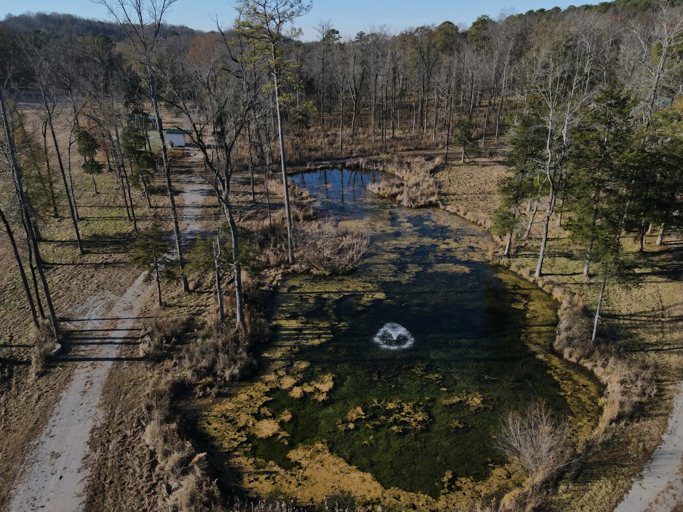 5343 A County Road 16, Montevallo, AL, 35115