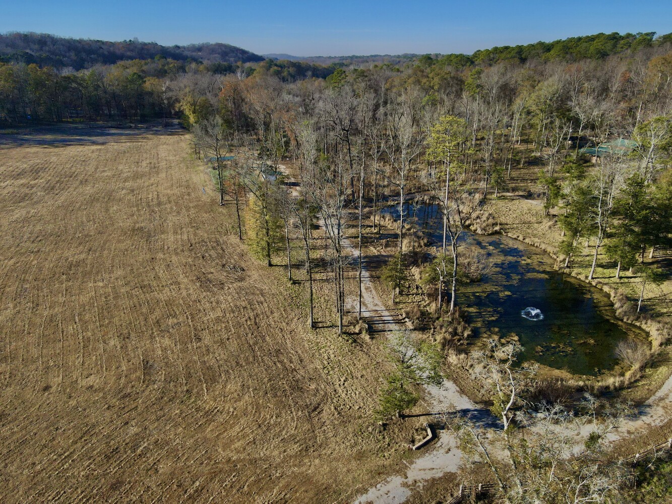 5343 A County Road 16, Montevallo, AL, 35115