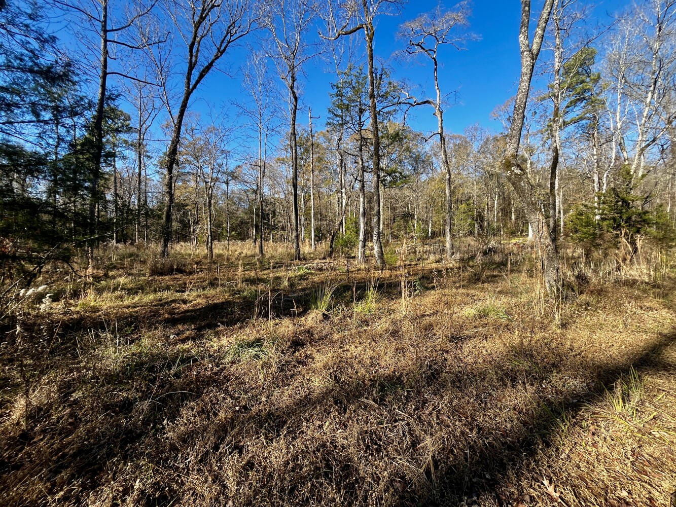 5343 A County Road 16, Montevallo, AL, 35115