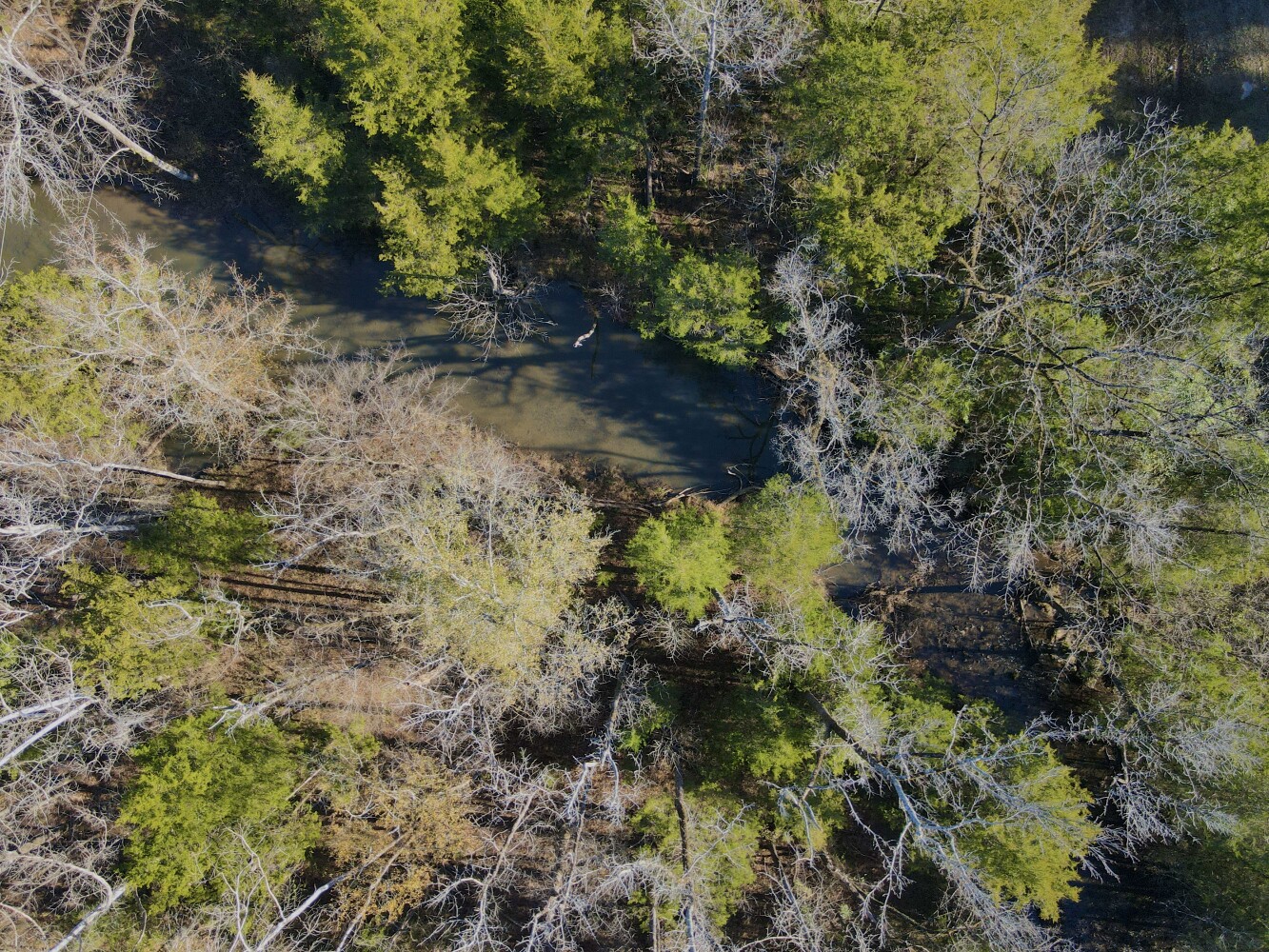 5343 A County Road 16, Montevallo, AL, 35115