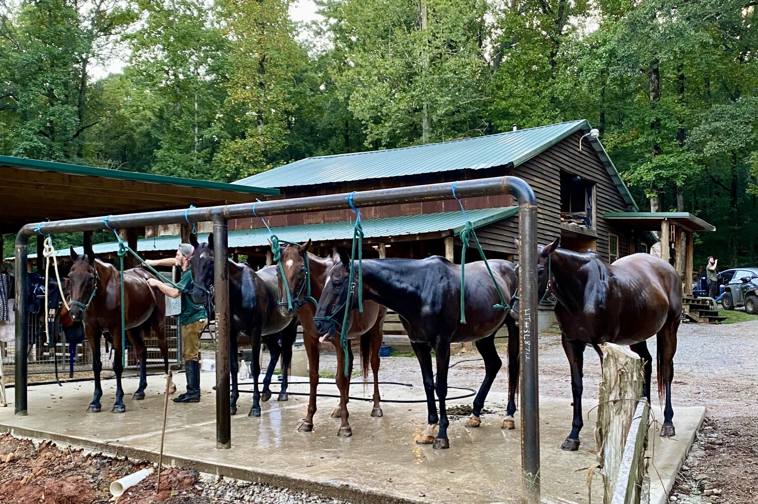 5343 A County Road 16, Montevallo, AL, 35115