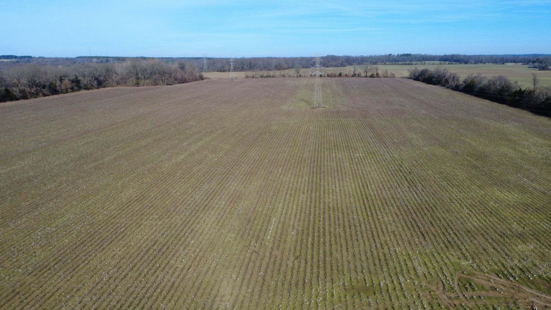 2321 Pitkin Ave, Brooklyn, NY, 11207