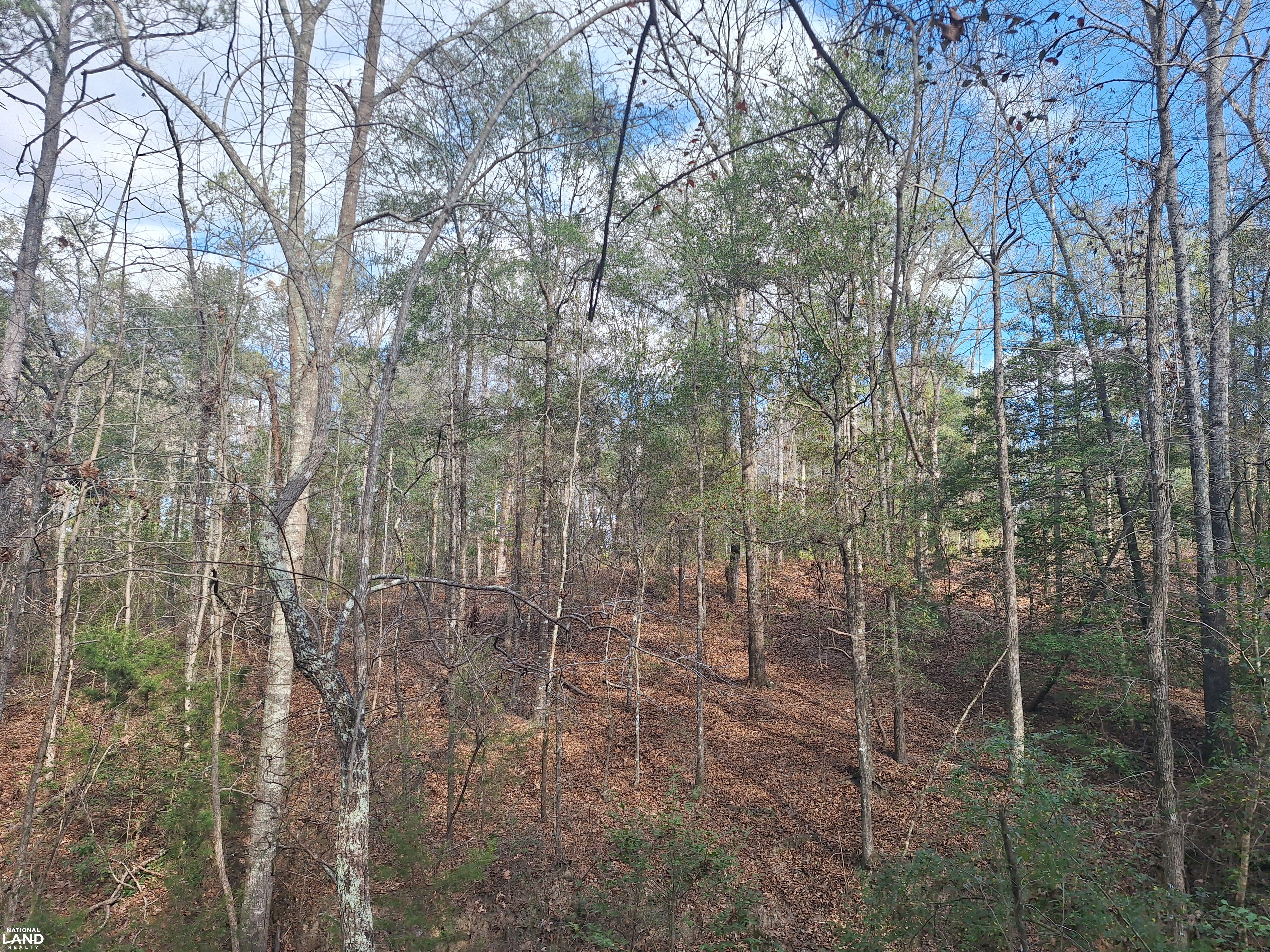N McGhee Rd Hunting Property in Crenshaw County, Alabama (10 Photos ...