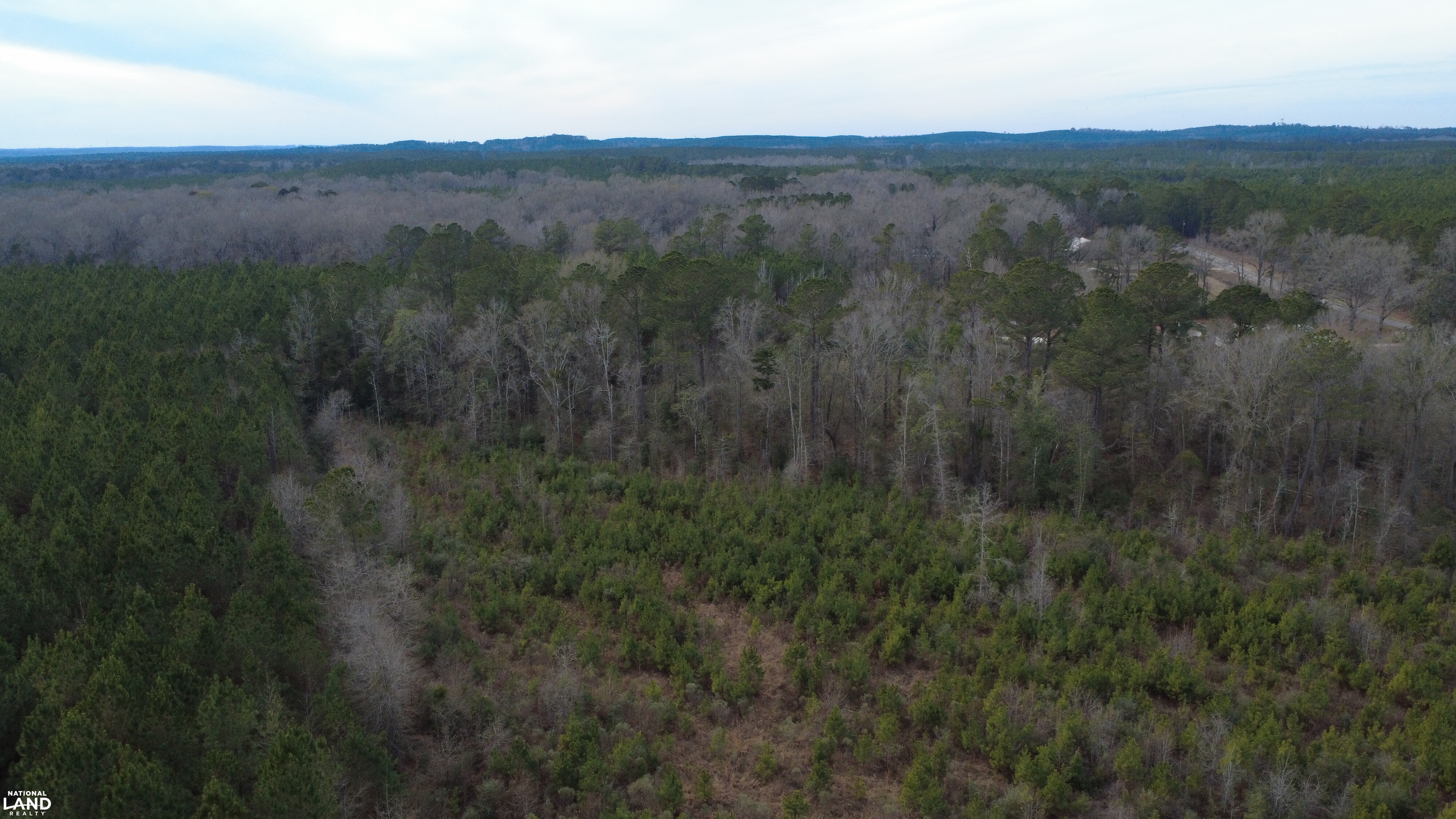 Rural Homesite & Recreational Tract in Coffee County, Alabama (13 ...