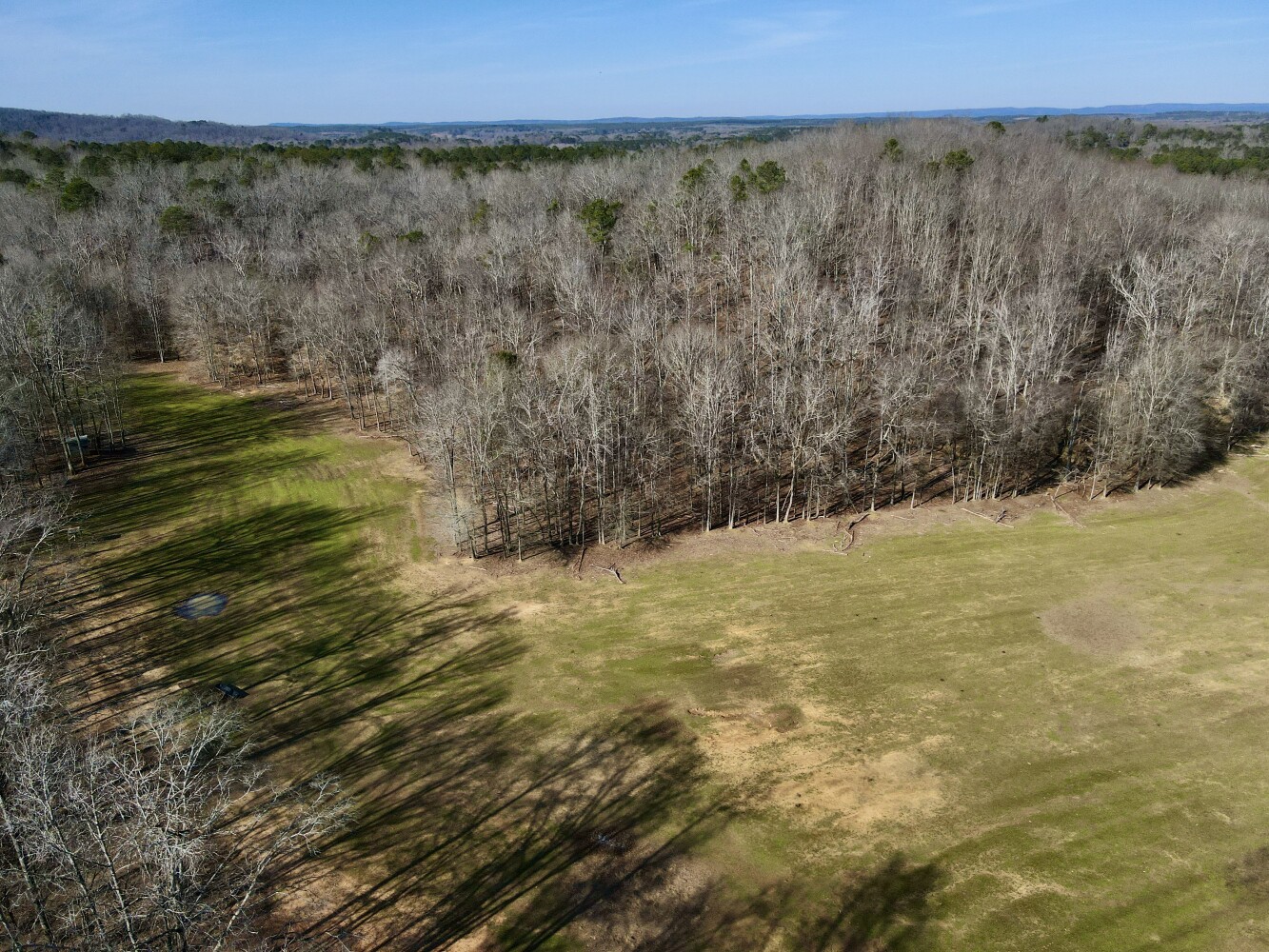 368 92nd St UNIT&nbsp;1A, Brooklyn, NY, 11209