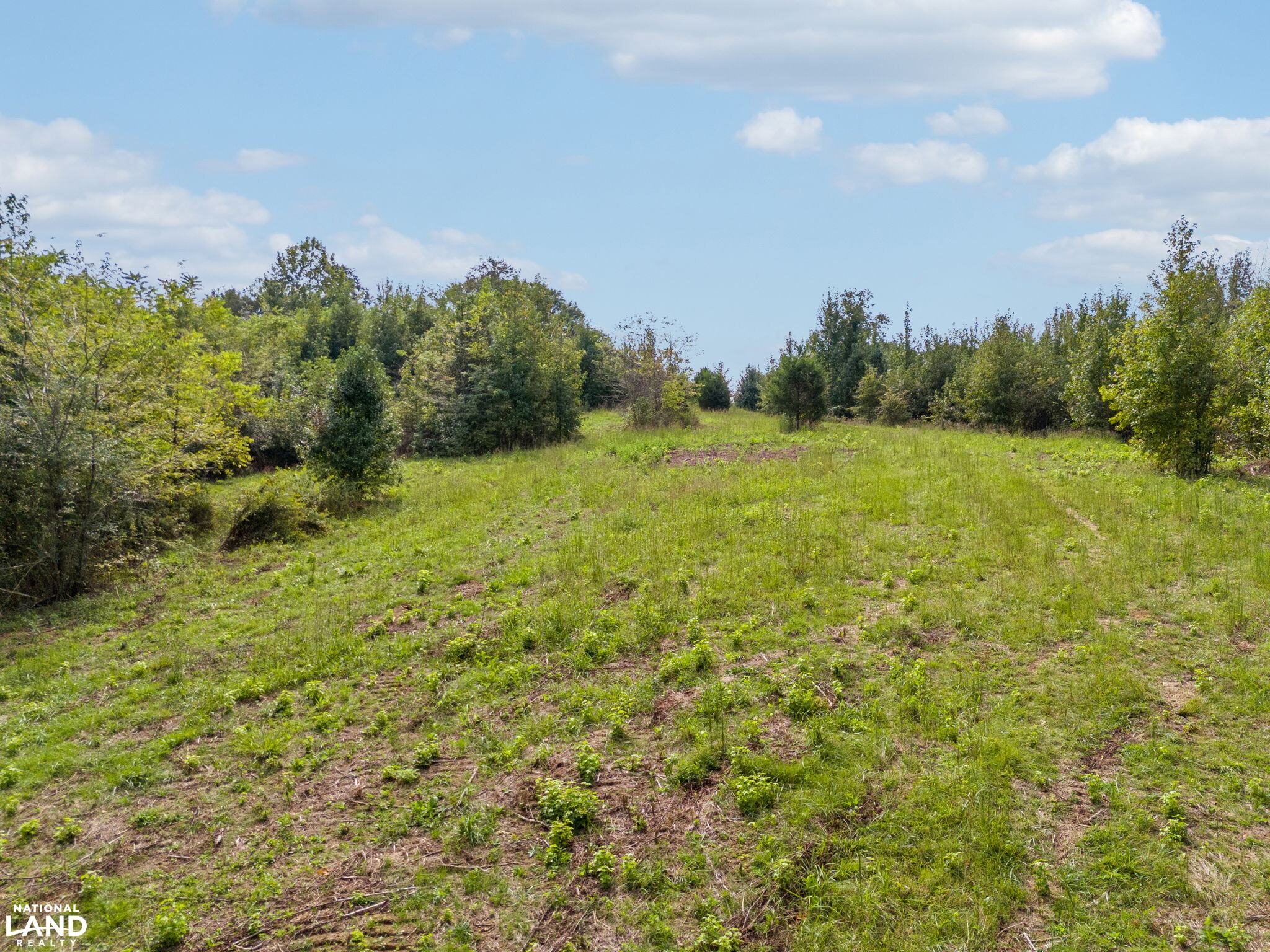 Shoal Creek Ridge Lot 10 in Giles County, Tennessee (11 Photos ...