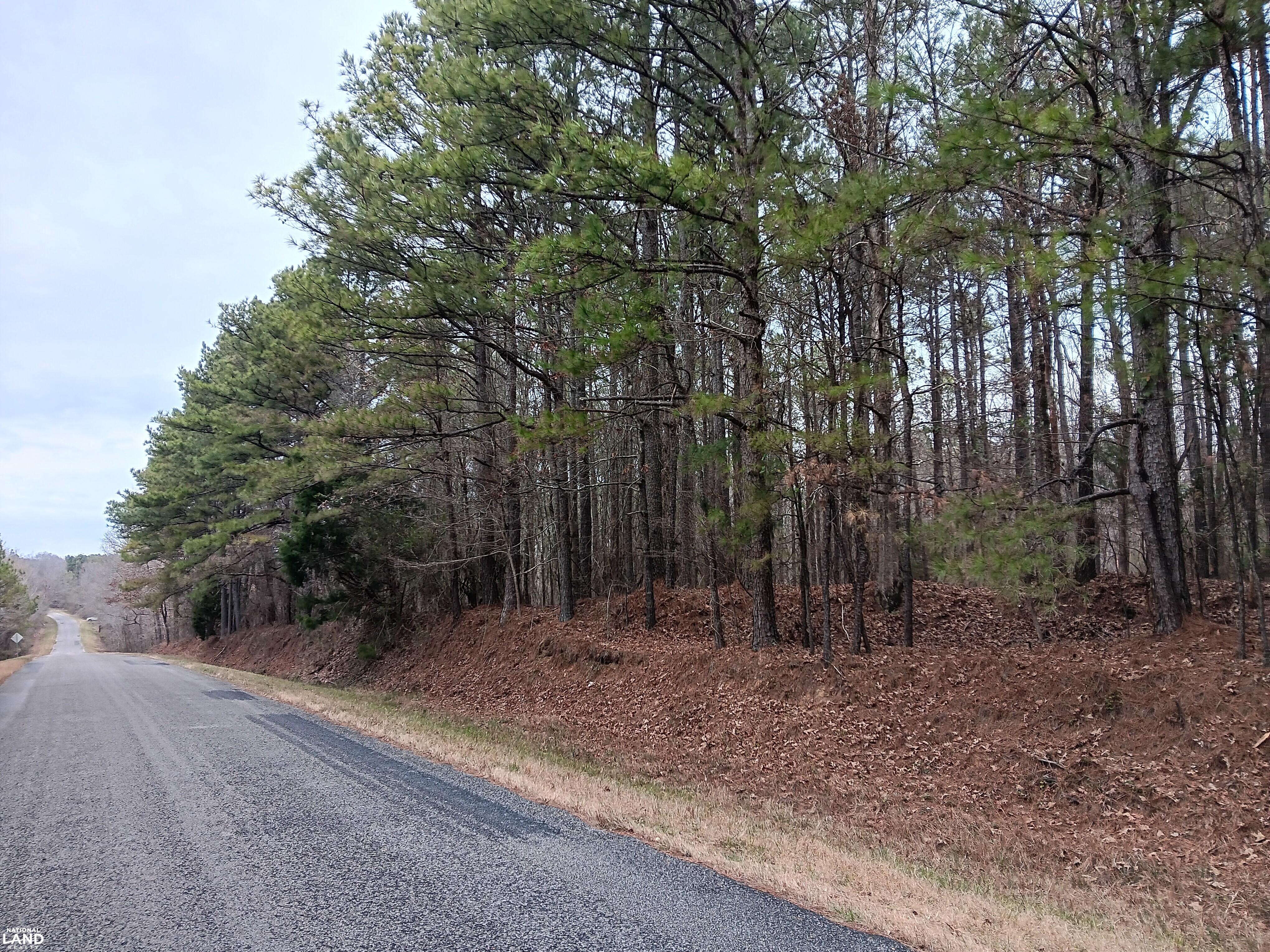 Pea Ridge Recreation and Homesite 2 in Marion County, Alabama (29 ...