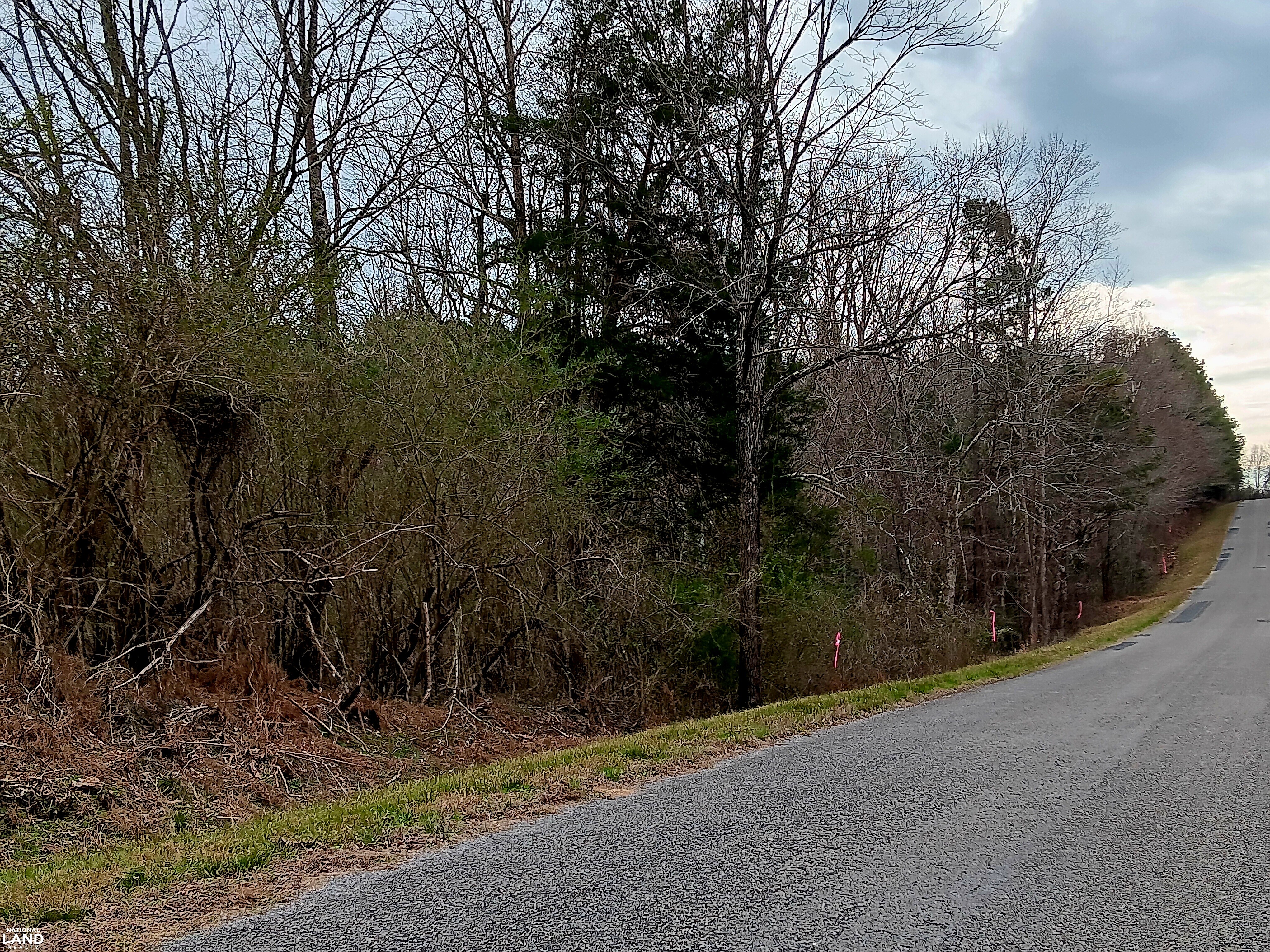 Pea Ridge Recreation and Homesite 2 in Marion County, Alabama (29 ...