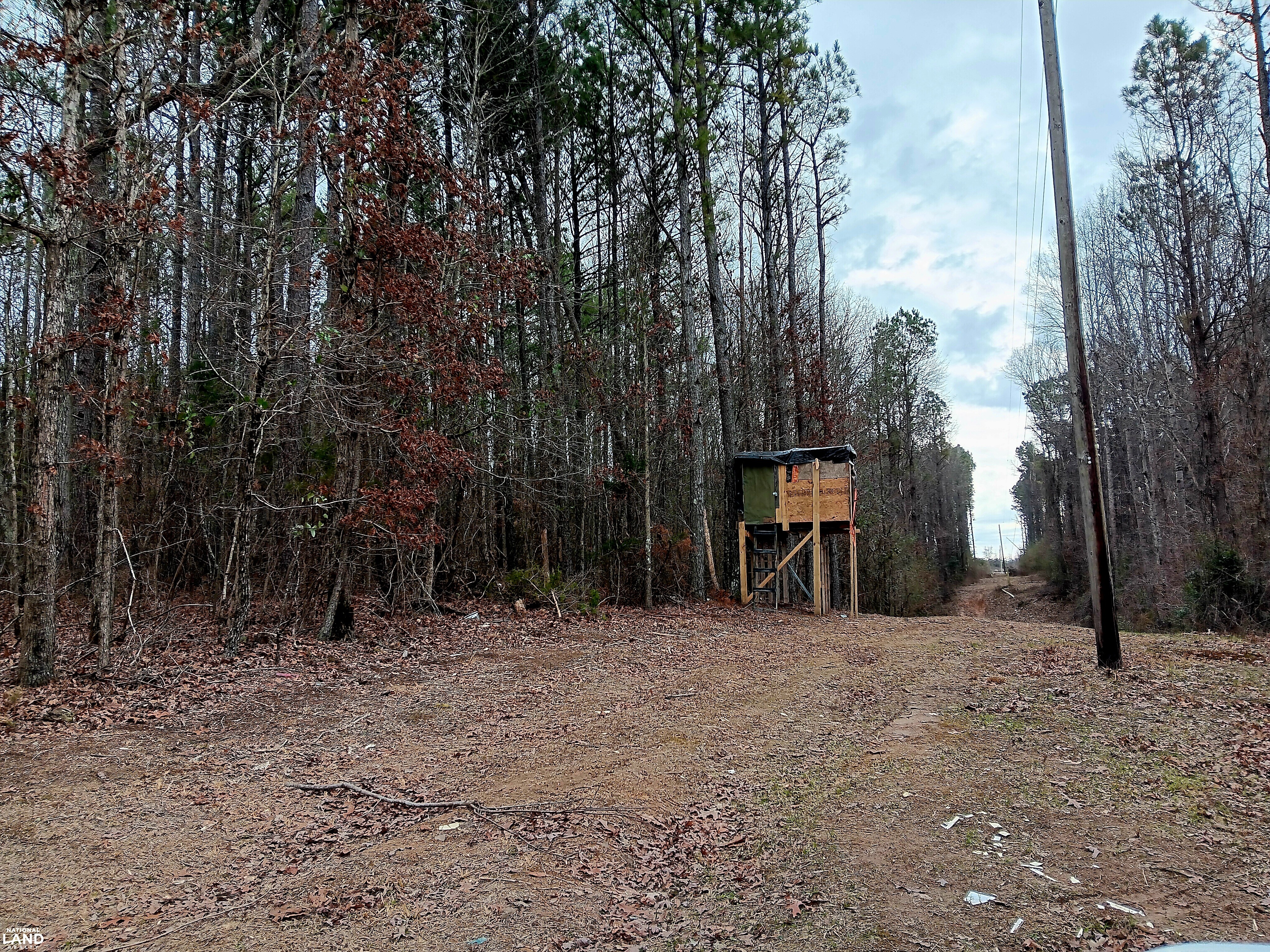 Pea Ridge Recreation and Homesite 2 in Marion County, Alabama (29 ...