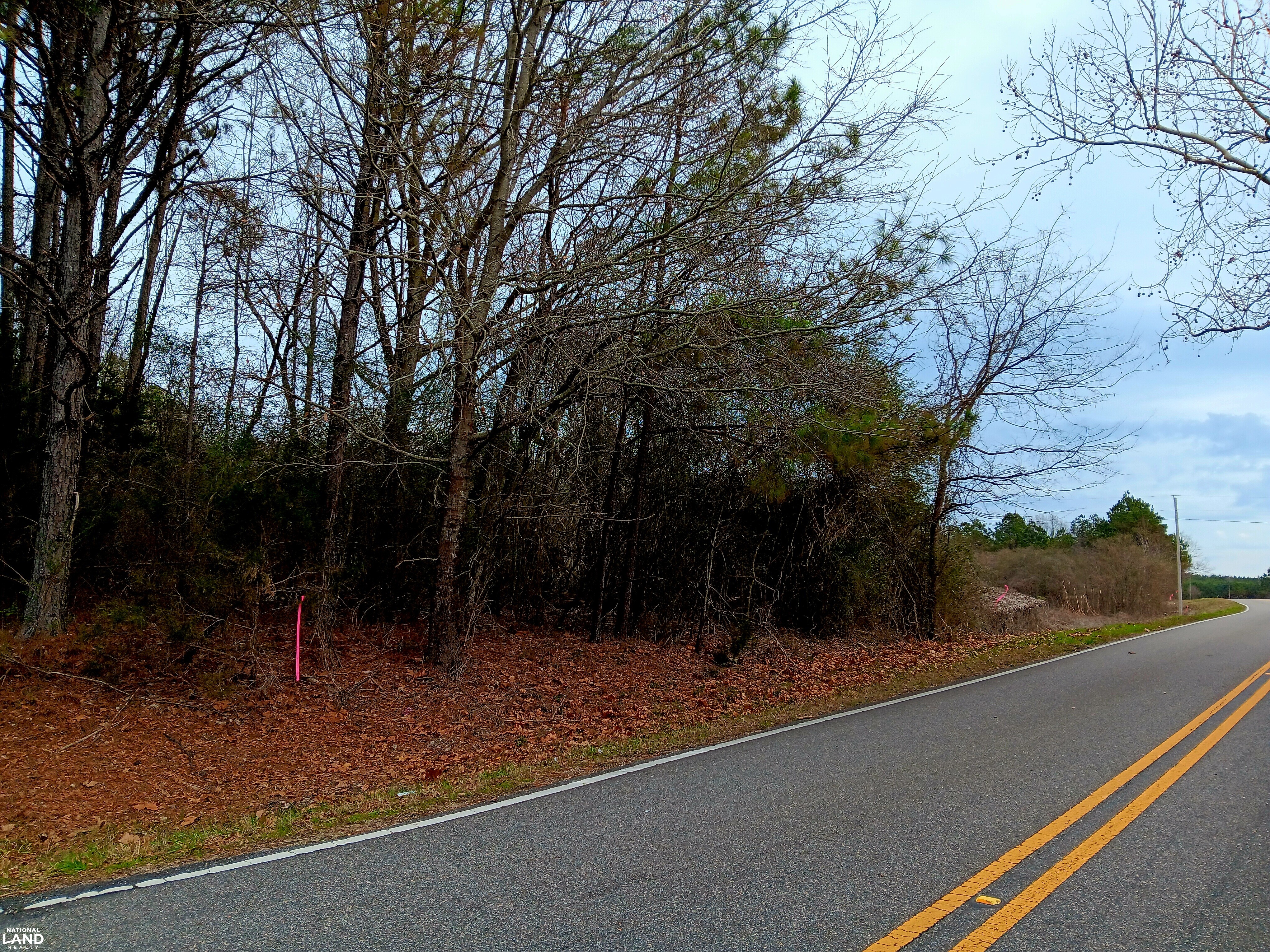 Pea Ridge Recreation and Homesite 2 in Marion County, Alabama (29 ...