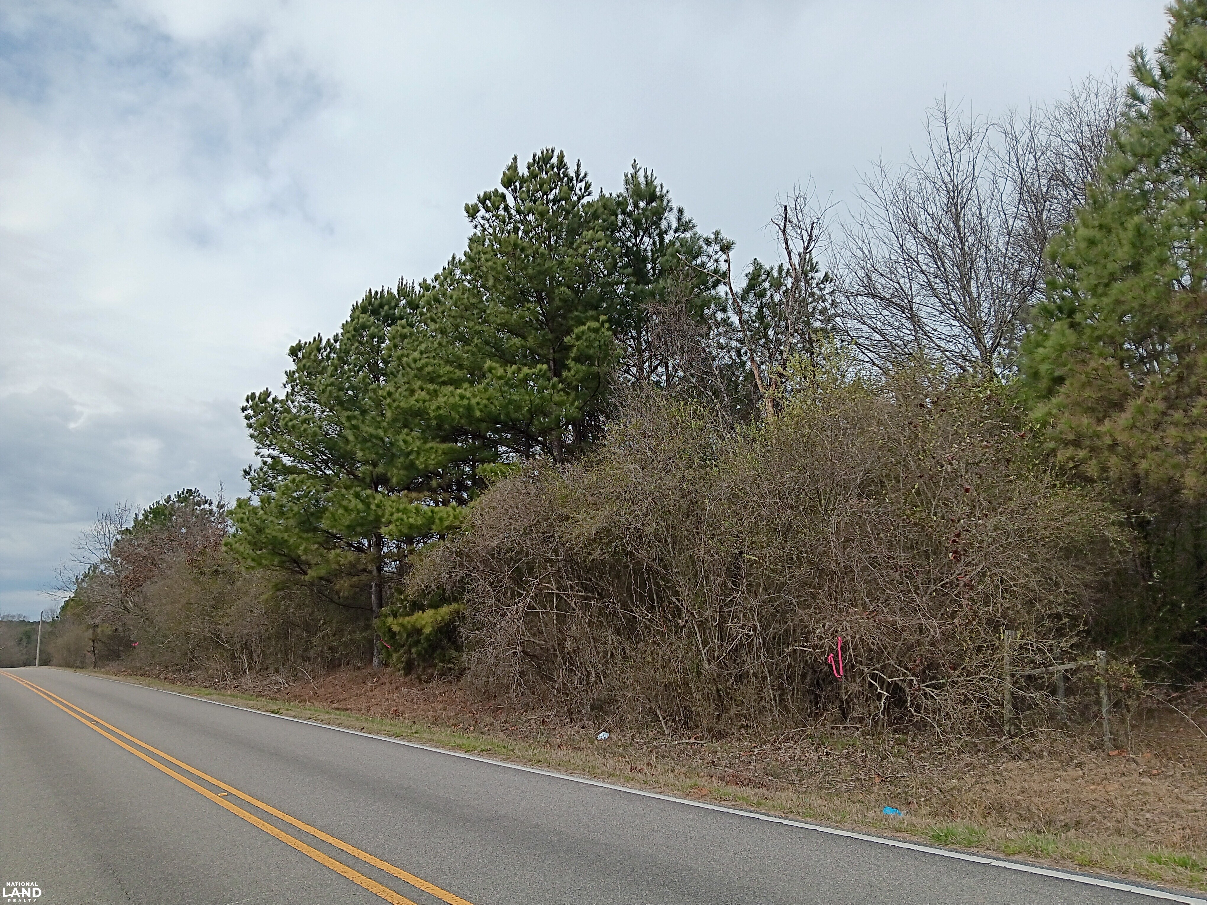 Pea Ridge Recreation and Homesite 2 in Marion County, Alabama (29 ...
