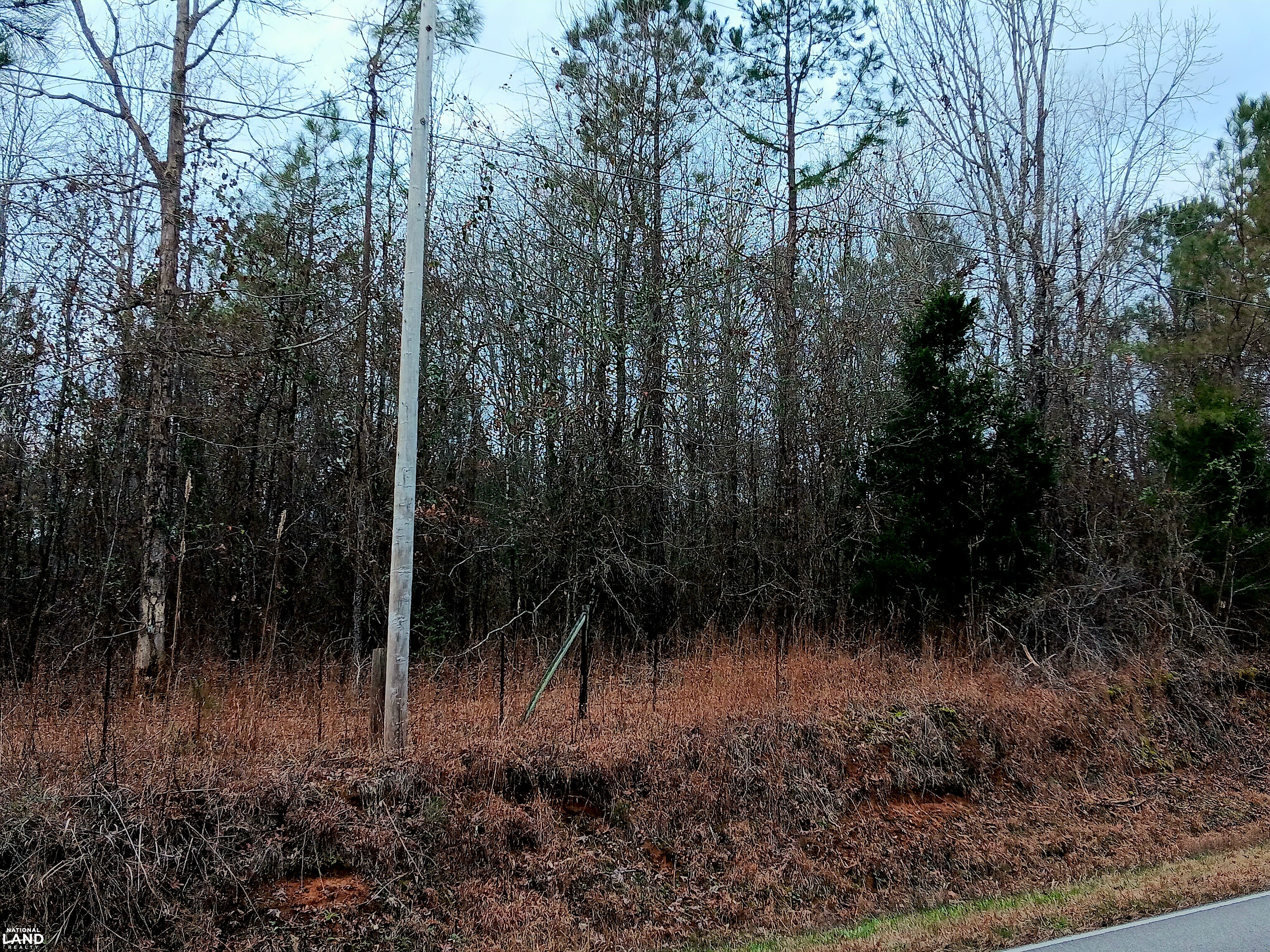 Pea Ridge Recreation and Homesite 3 in Marion County, Alabama (26 ...