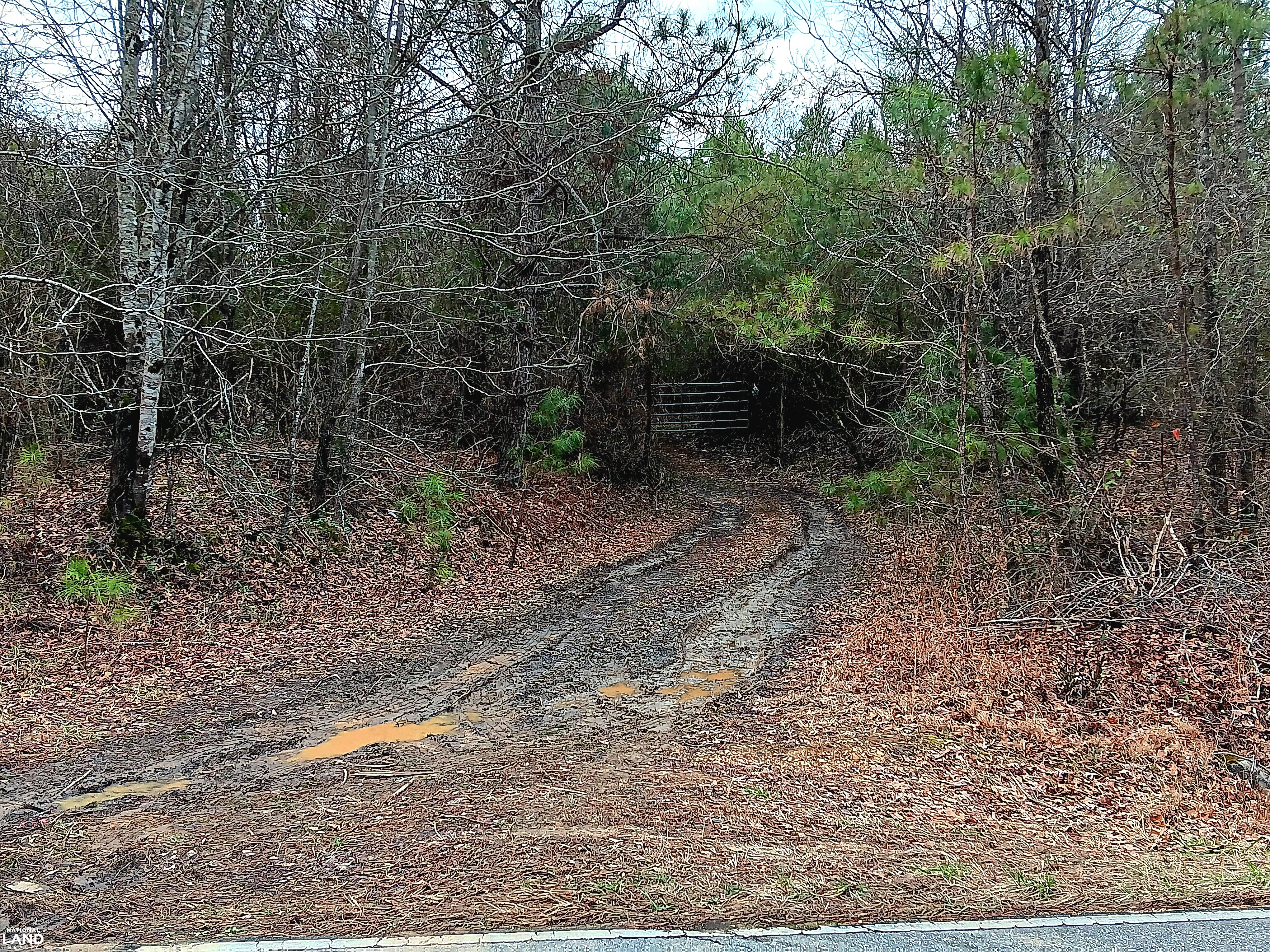 Pea Ridge Rd Pea Ridge Recreation and Homesite 3 in Marion County, Alabama (26 ...