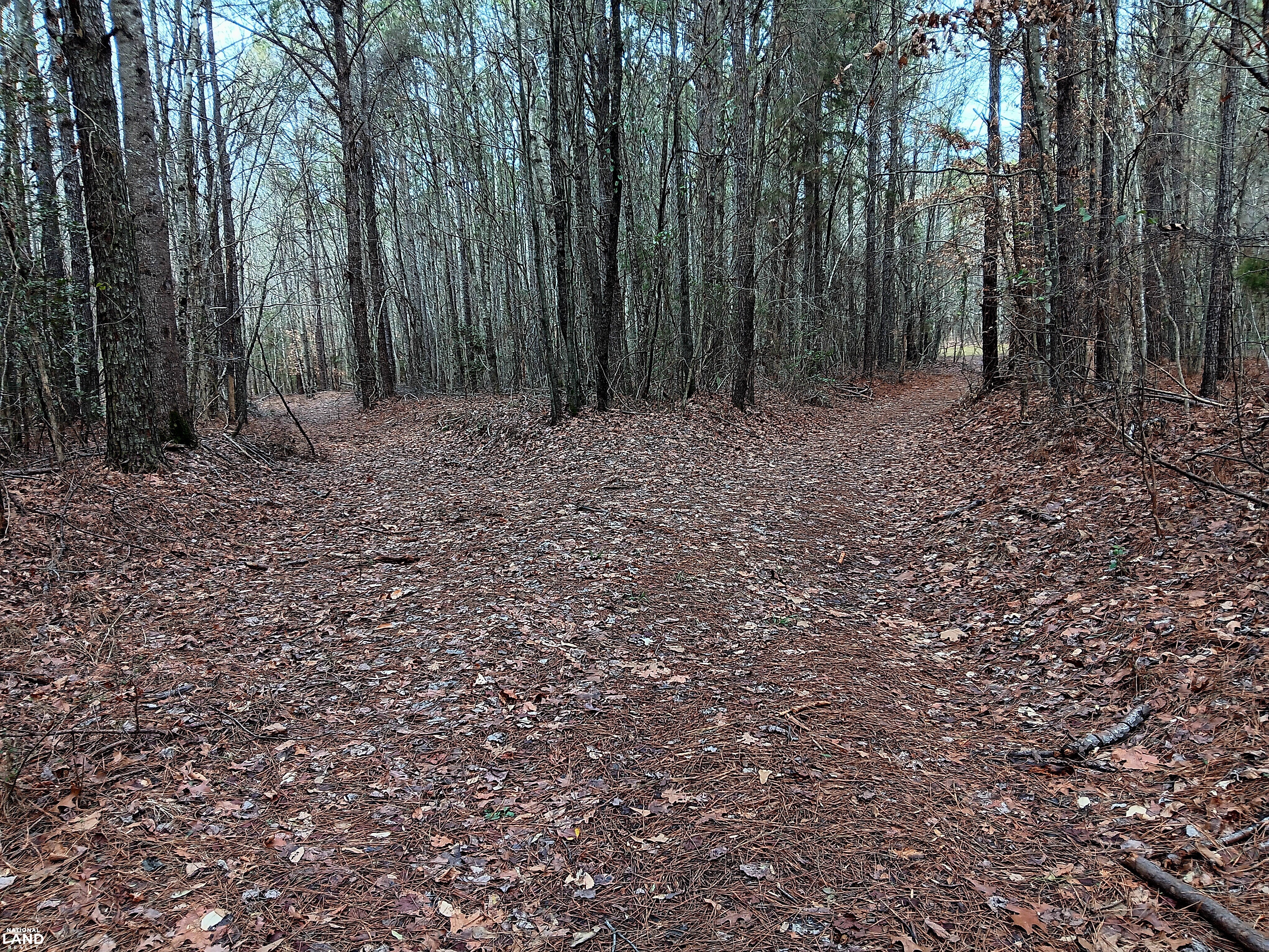 Pea Ridge Recreation and Homesite 4 in Marion County, Alabama (28 ...