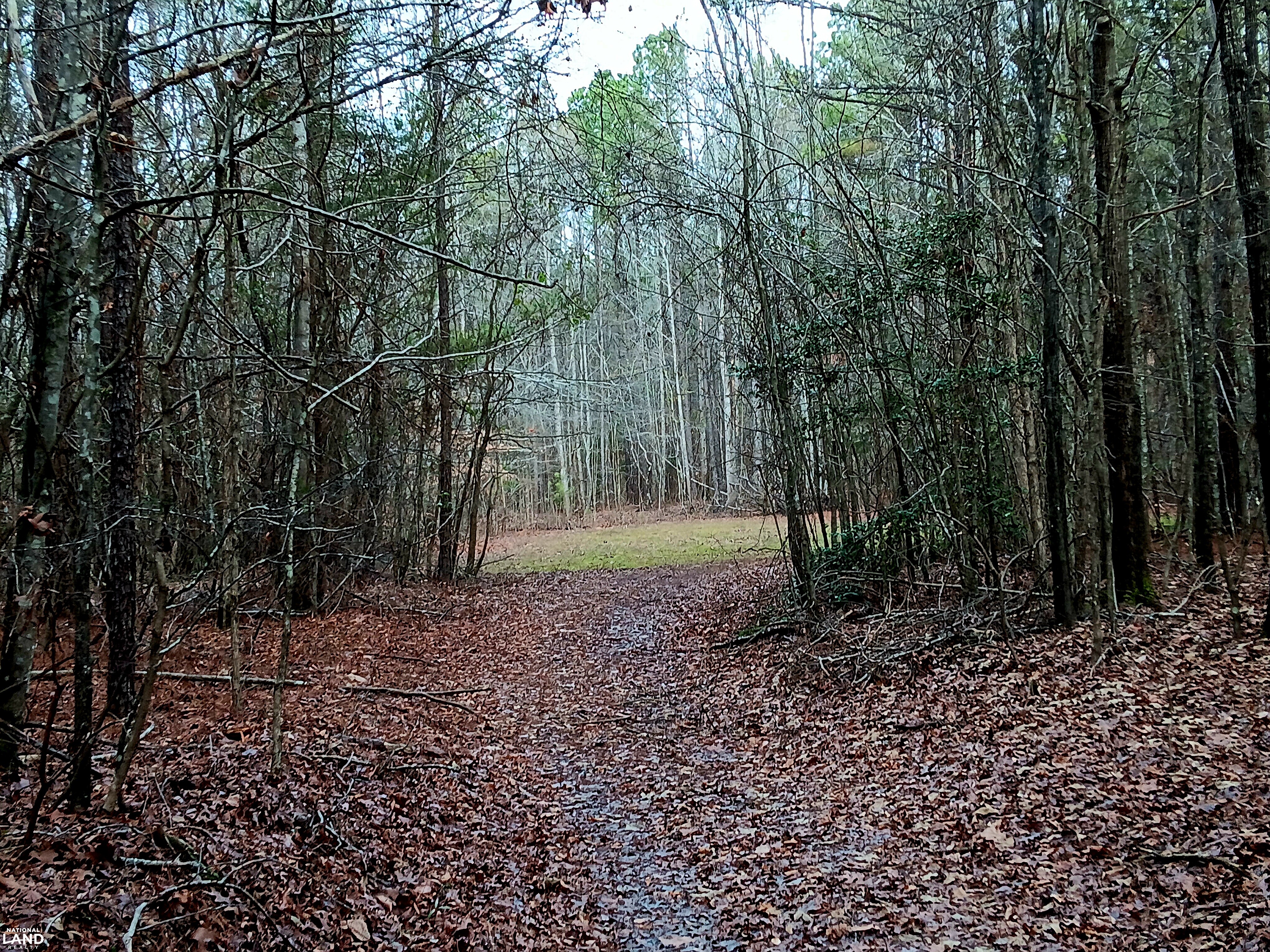 Pea Ridge Recreation and Homesite 4 in Marion County, Alabama (28 ...