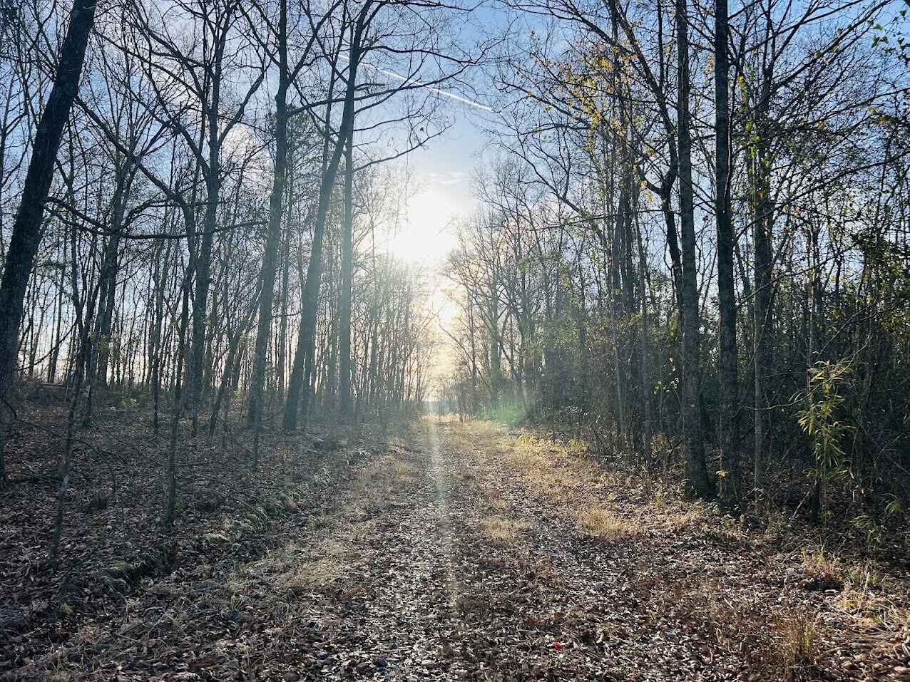 2321 Pitkin Ave, Brooklyn, NY, 11207