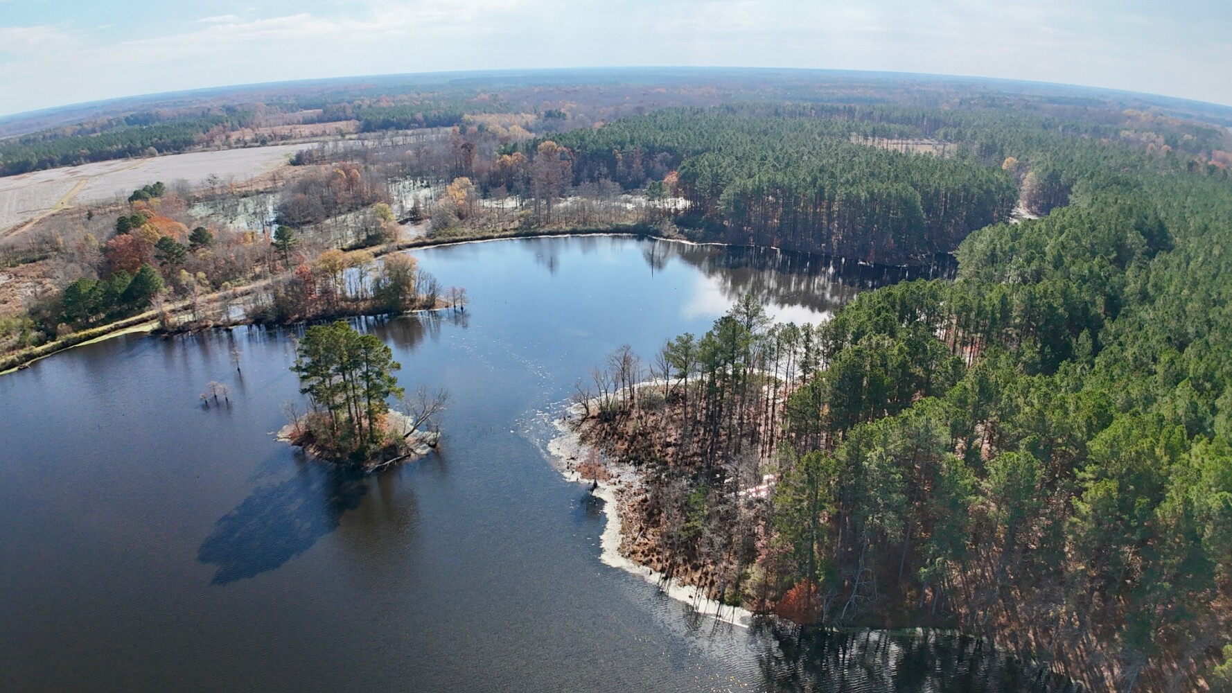 2321 Pitkin Ave, Brooklyn, NY, 11207