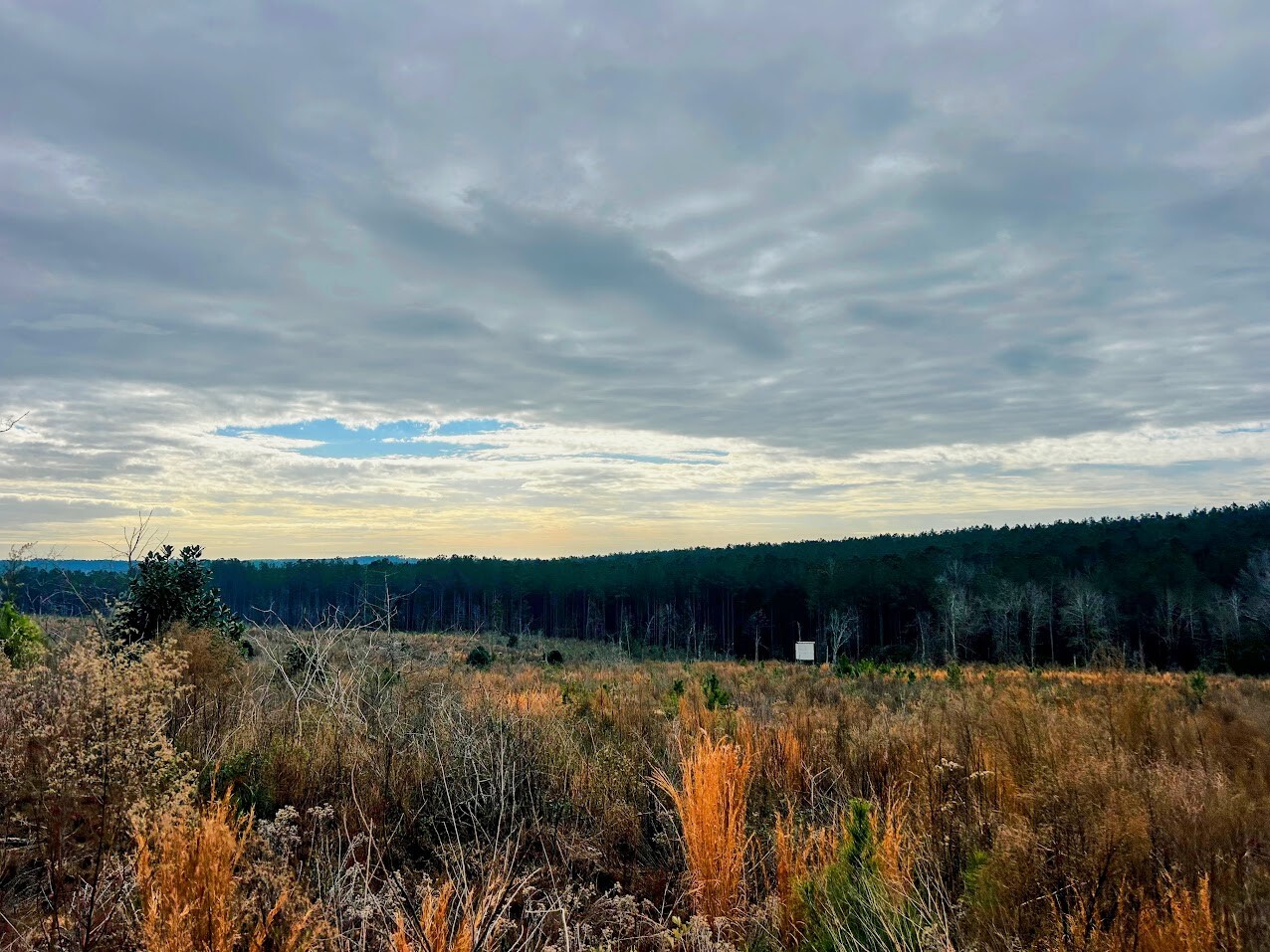 2321 Pitkin Ave, Brooklyn, NY, 11207